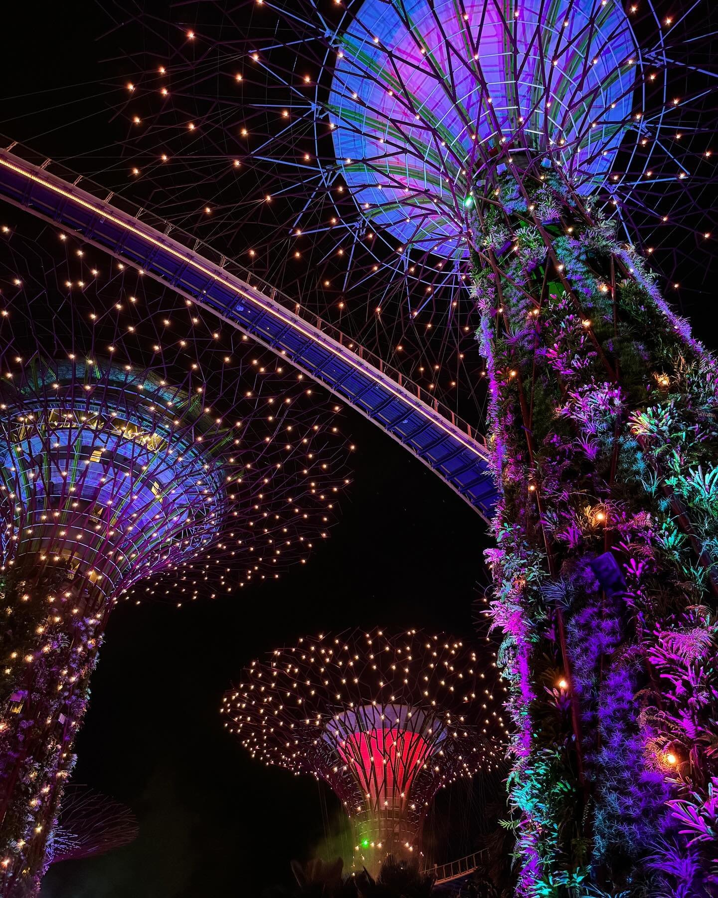Gardens by the Bay (post 2), Singapore:  One of the things that stands out&hellip;literally&hellip;is the Gardens&rsquo; 18 Supertrees, 12 of which appear together in what is called the Supertree Grove. These supersized man-made &ldquo;trees&rdquo; w