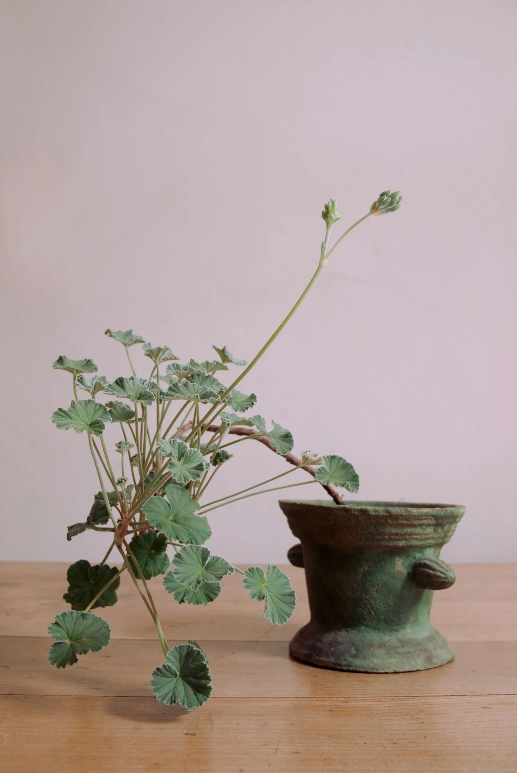 SIZED 1583 Iron Antique Pot.JPG