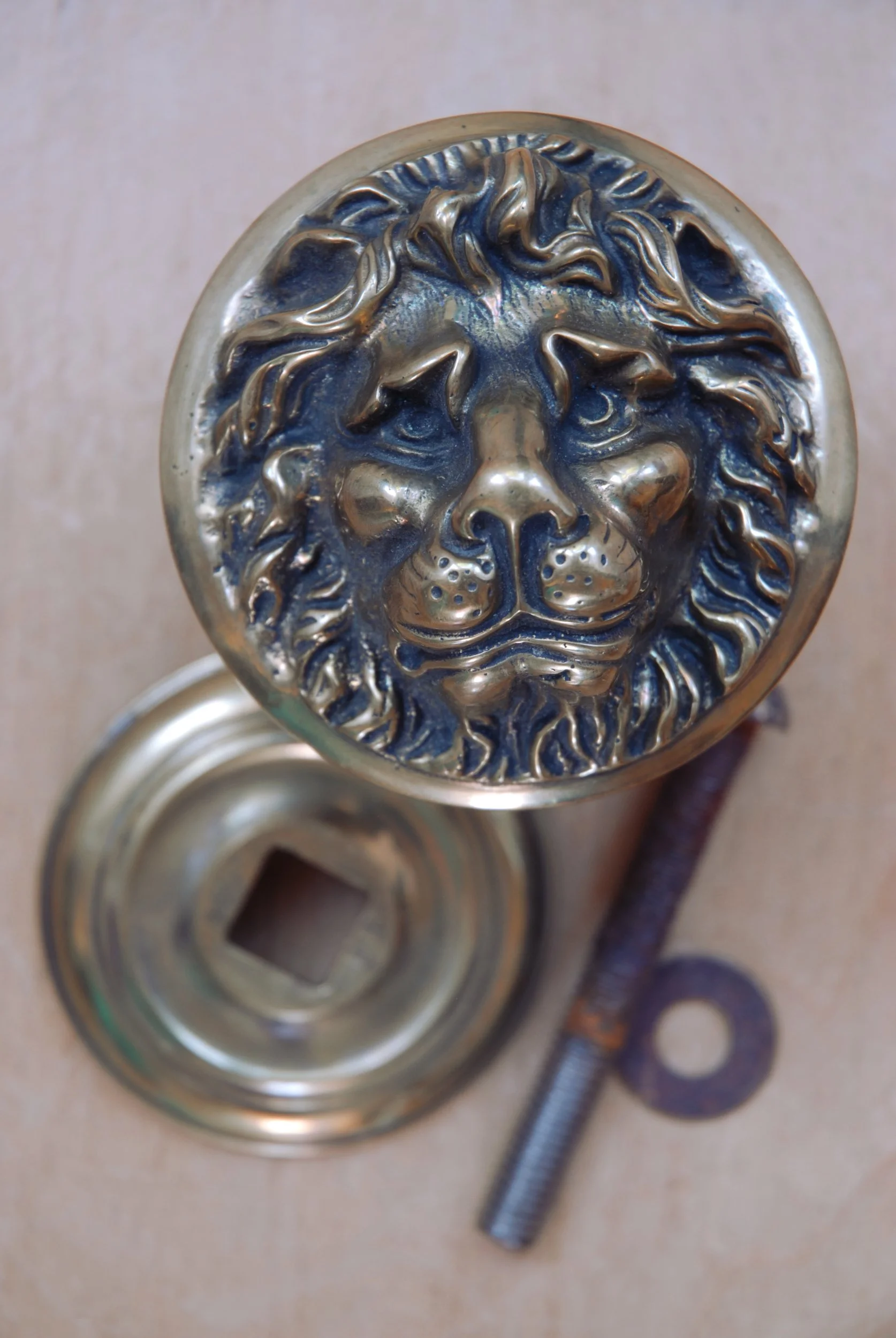 SIZED 1458 Lion Front Door Handle.JPG