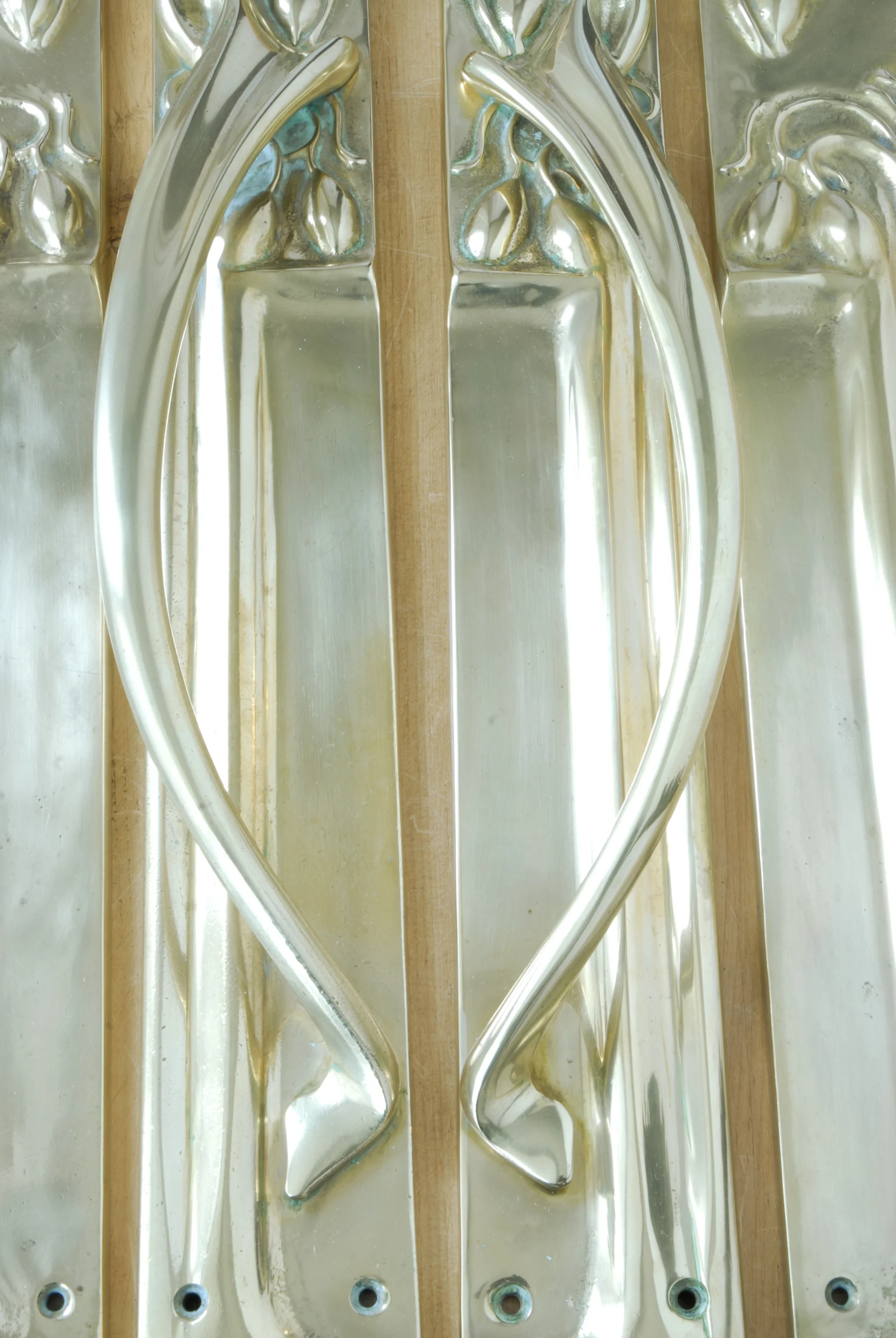 147 Art Nouveau Handles with Pushplates close up.JPG