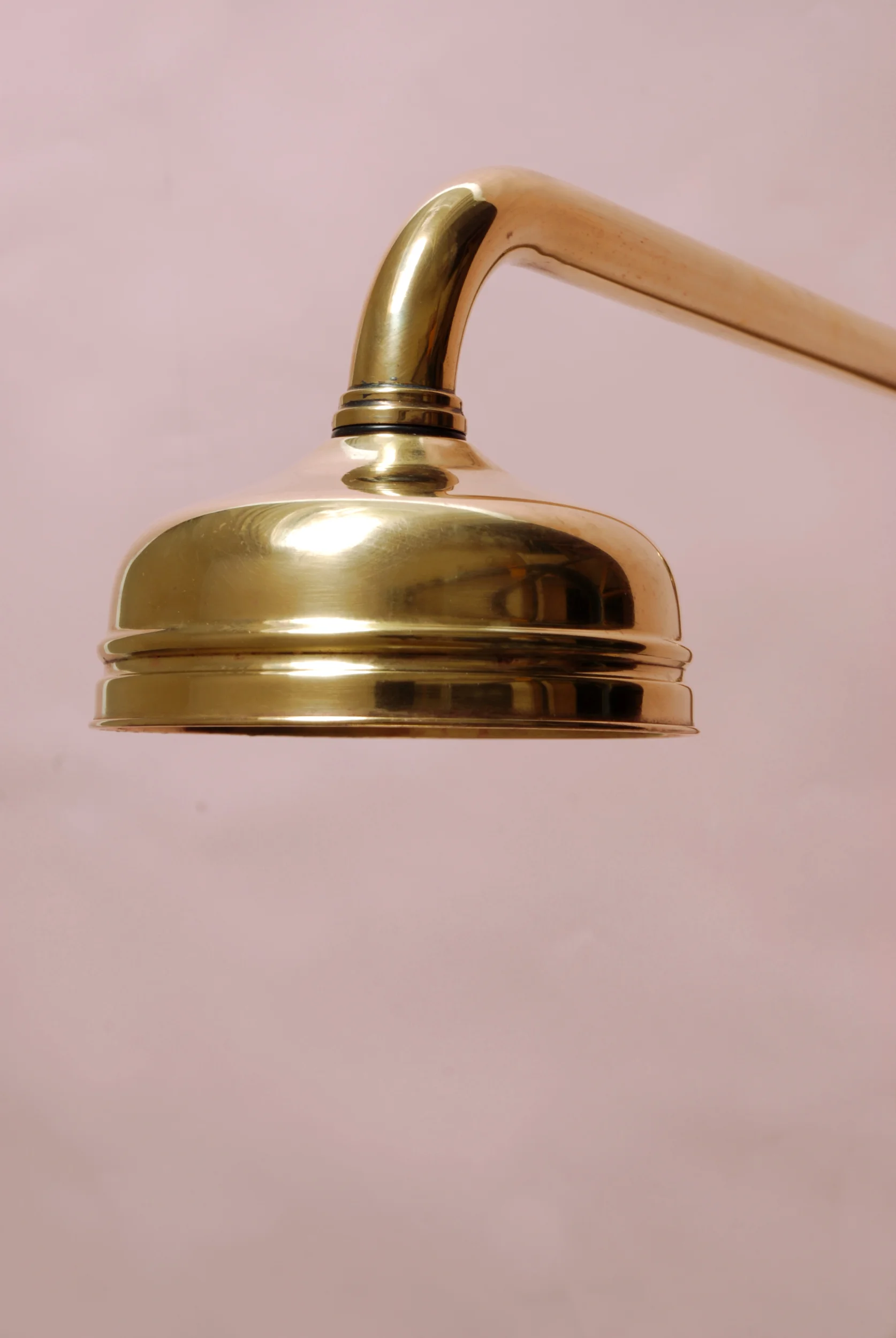 Overhead shower Rose Close Up Shot SIZED.JPG