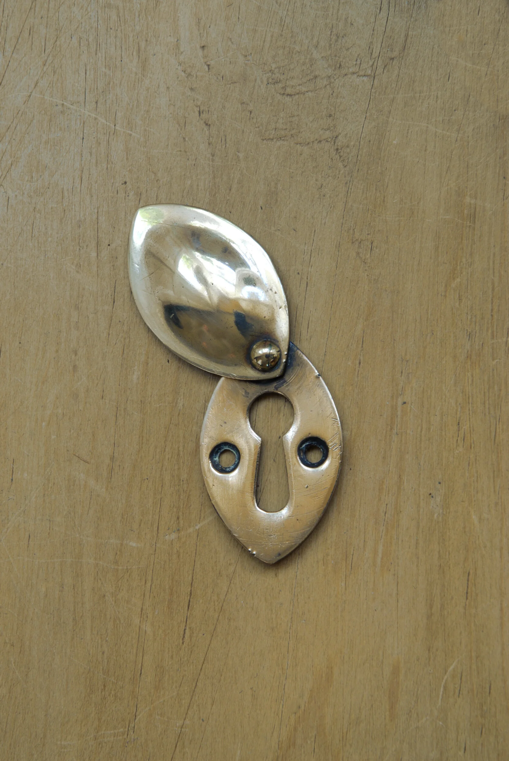 SIZED 437 Leaf Escutcheon Single Front View.JPG