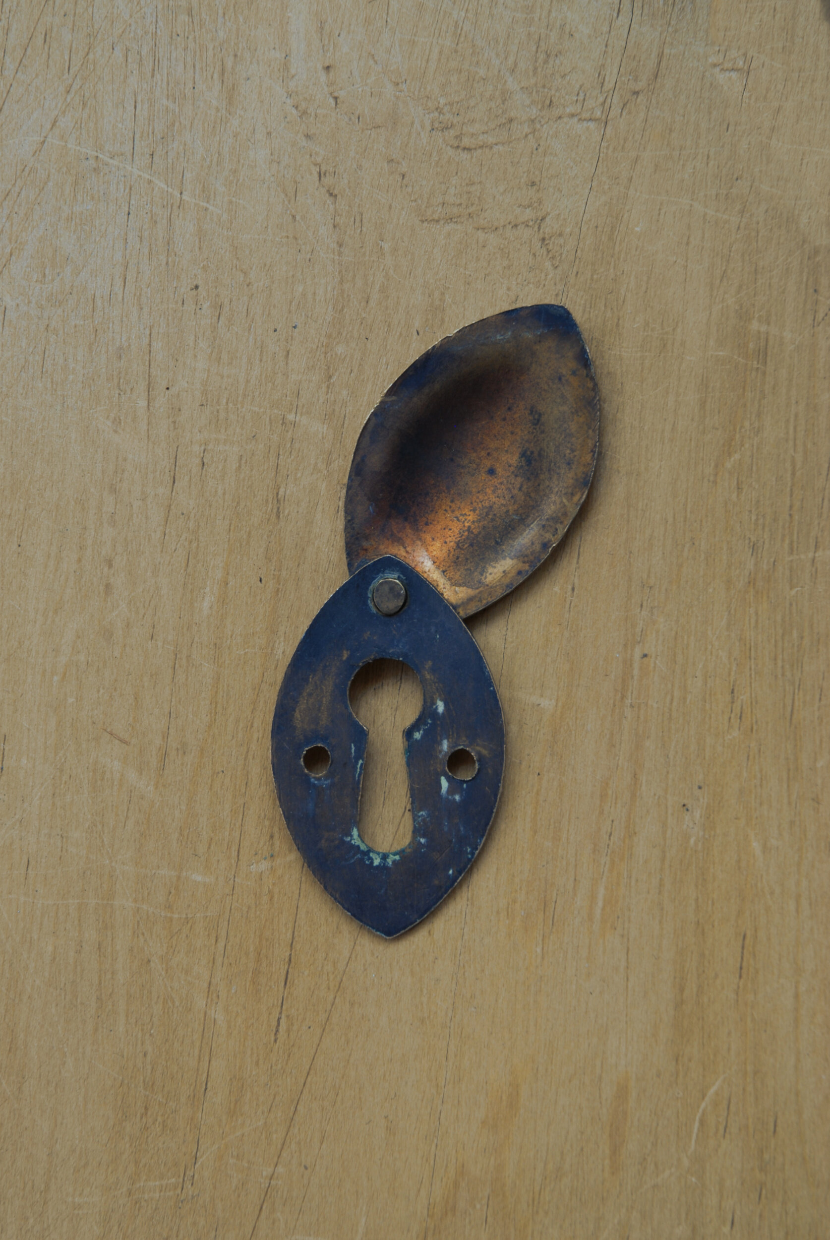SIZED 437 Leaf Escutcheon Back View.JPG