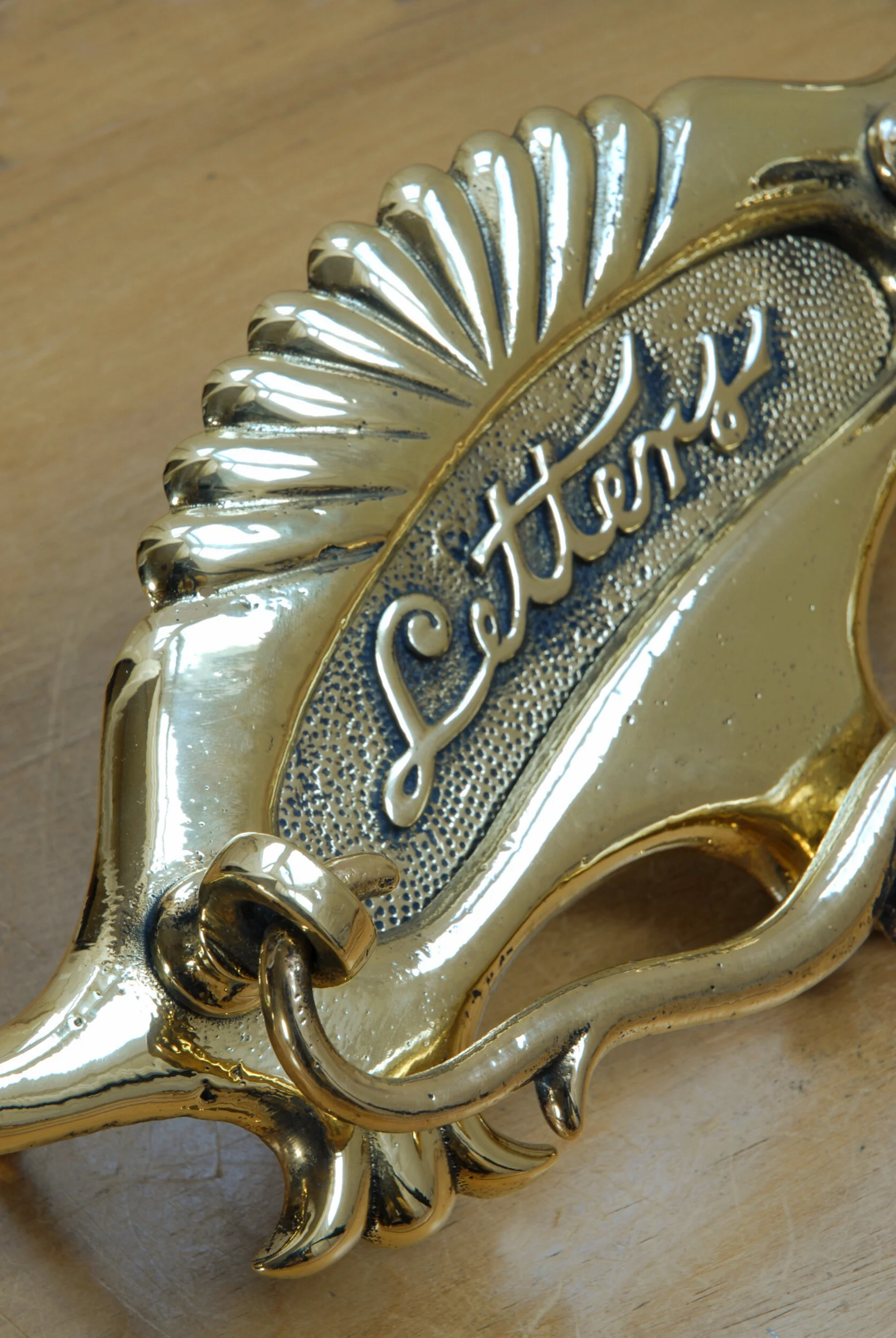 SIZED 617 Close Up Brass Letter Box.JPG