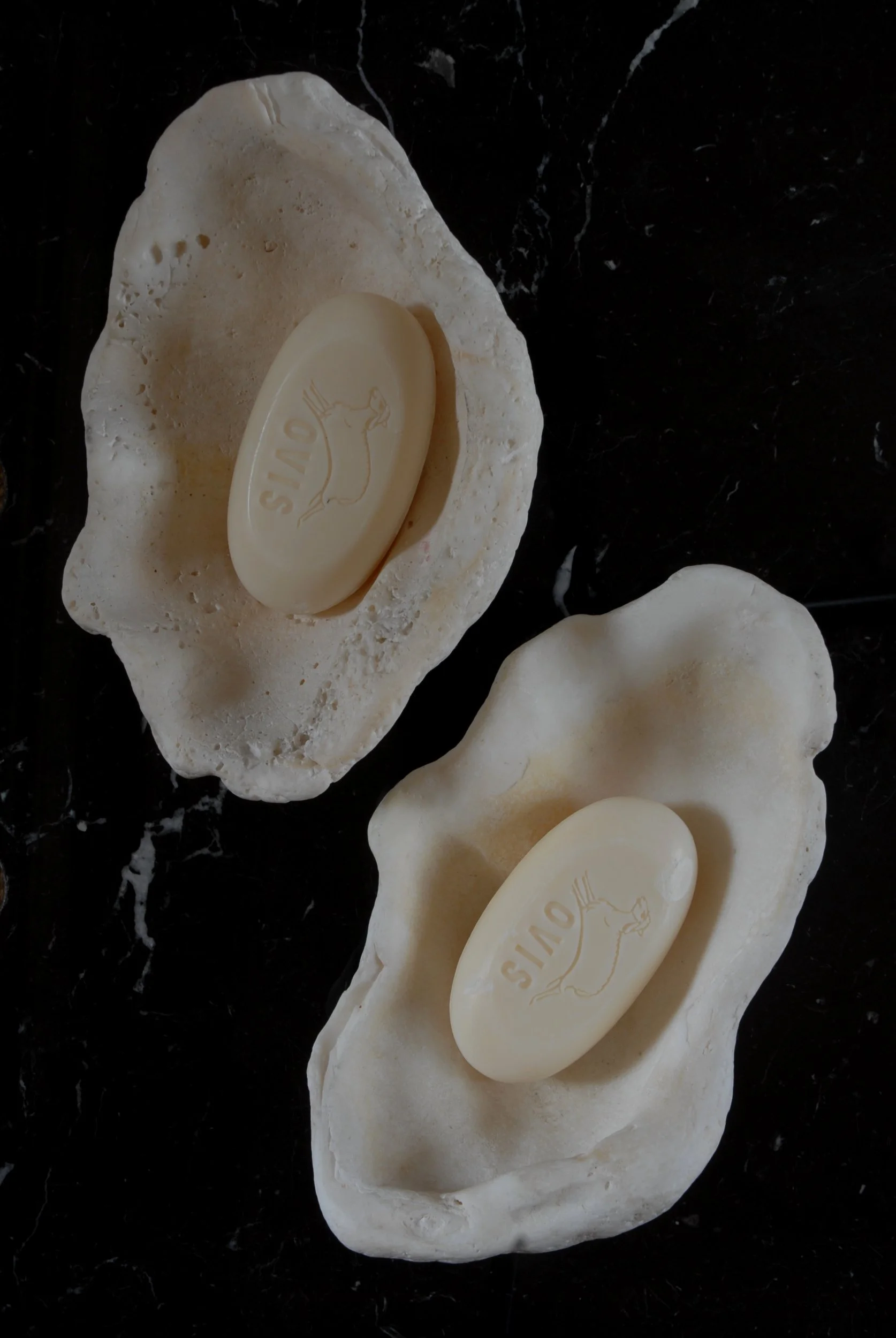 x1 Single Clam Shell Soap Dish