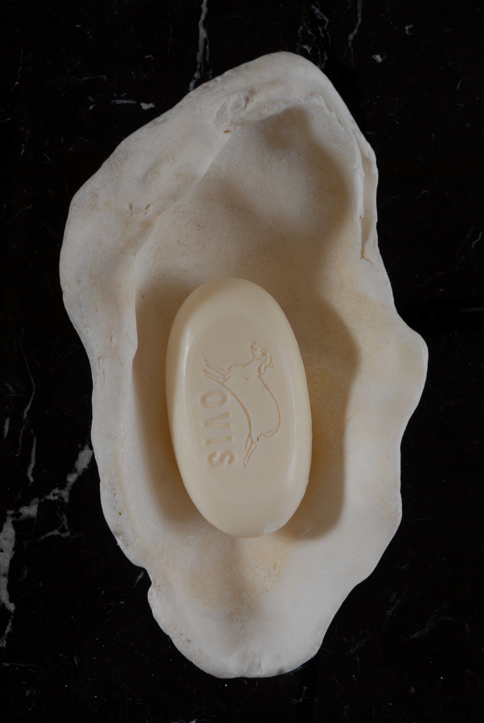 SIZED 1159 Shell Dish.JPG