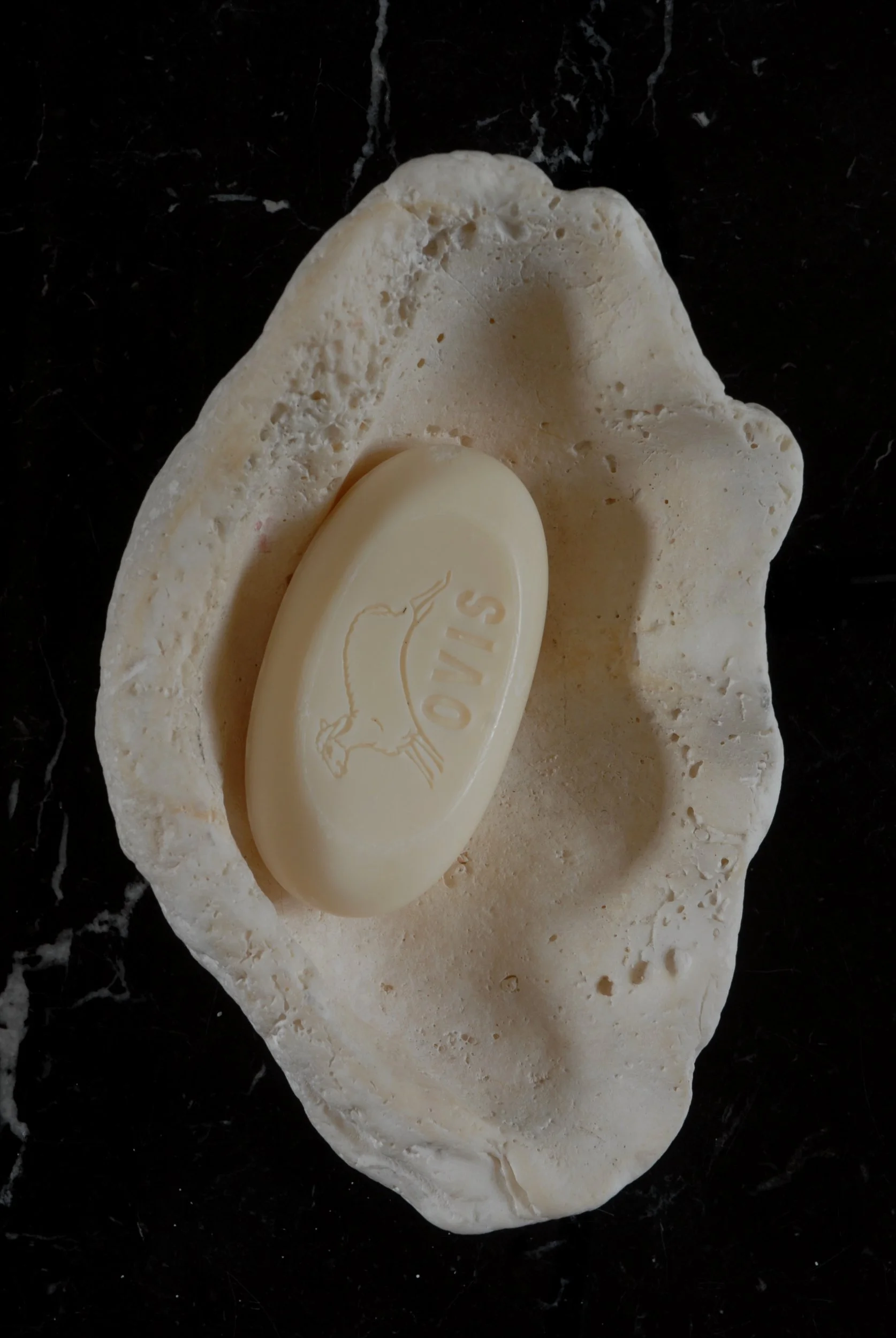SIZED 1159 Shell Soap Dish.JPG