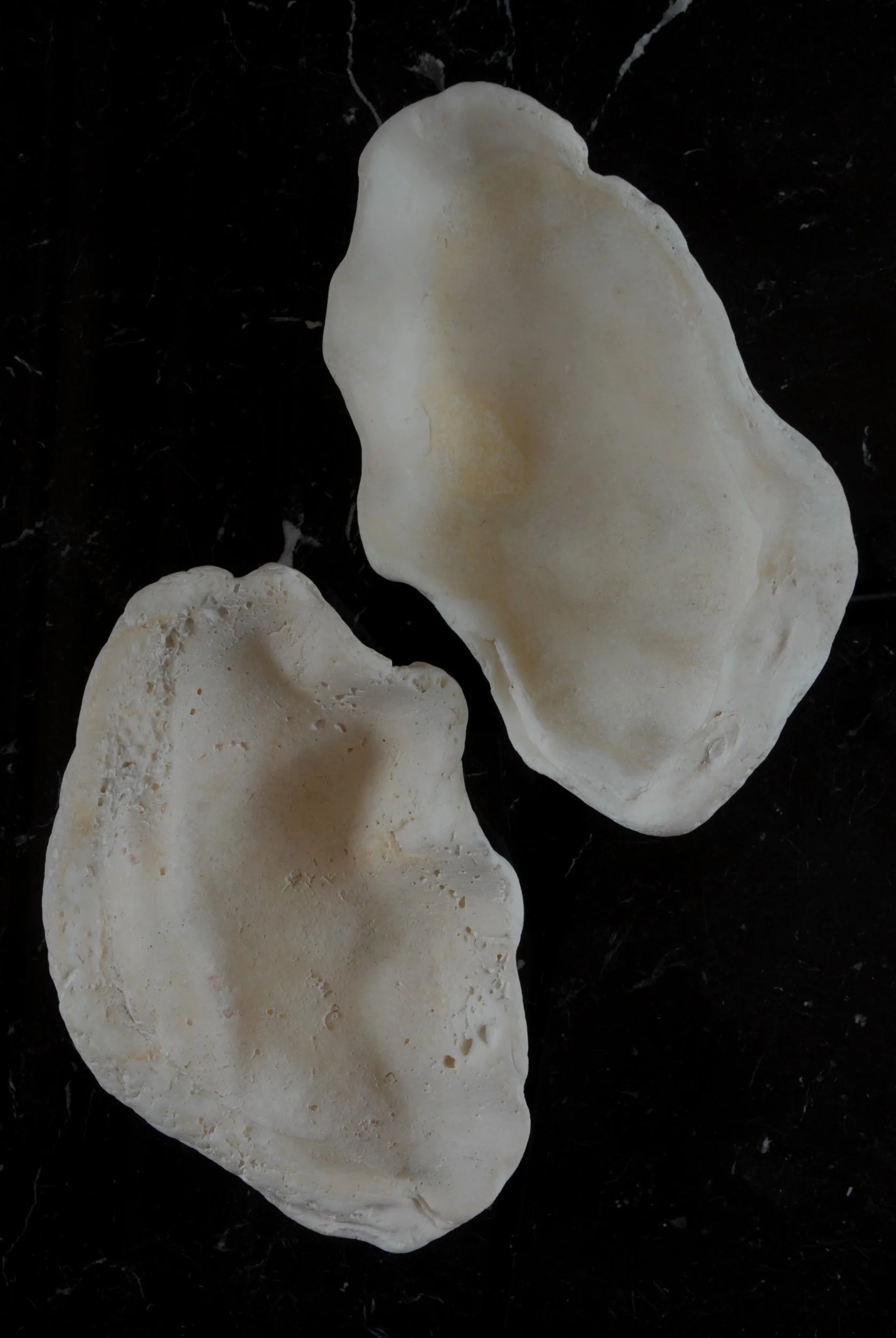 SIZED 1159 Shell Soap Dish Waterandwooduk.JPG