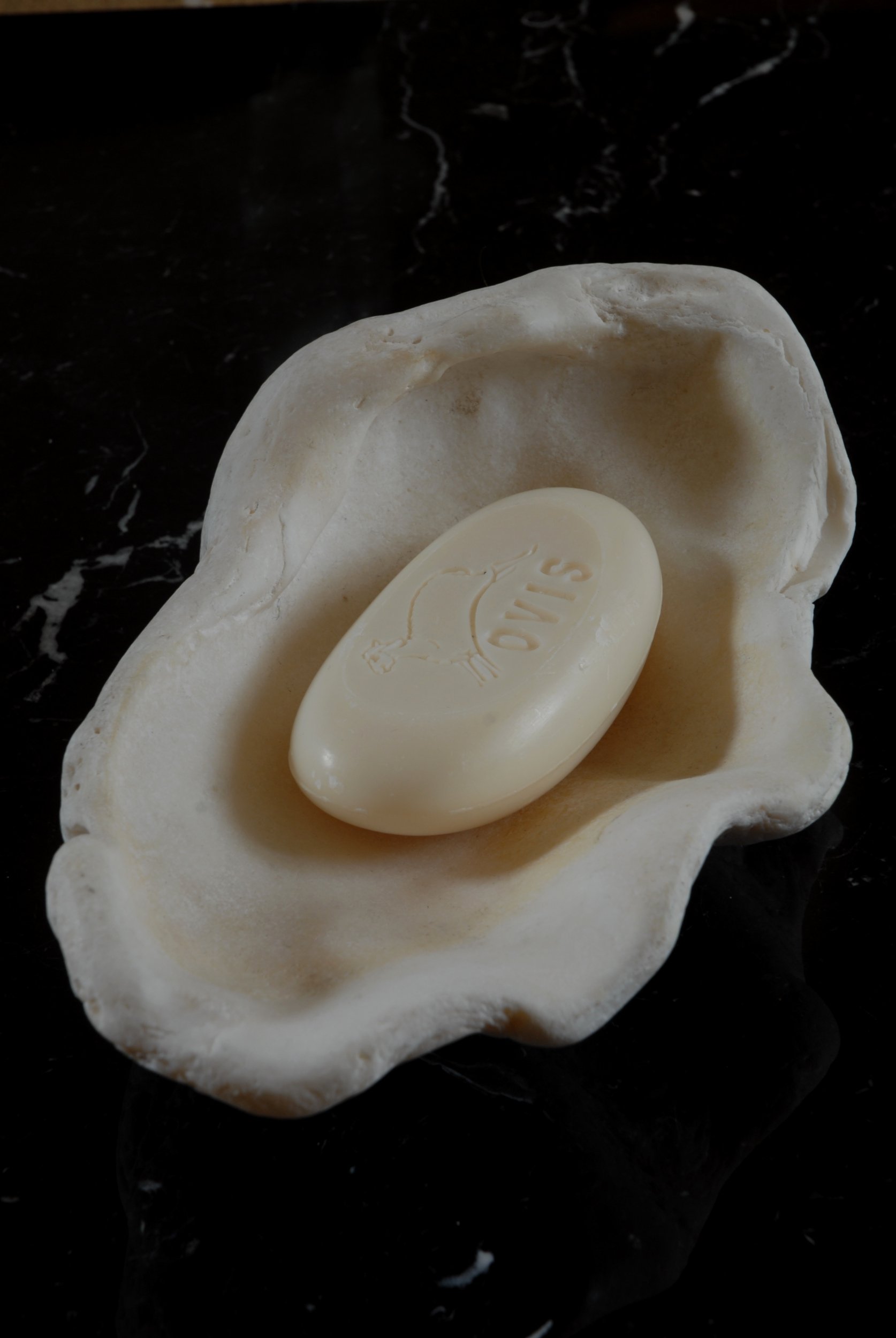 SIZED 1159 Shell Soap Dish Antique Waterandwooduk.JPG