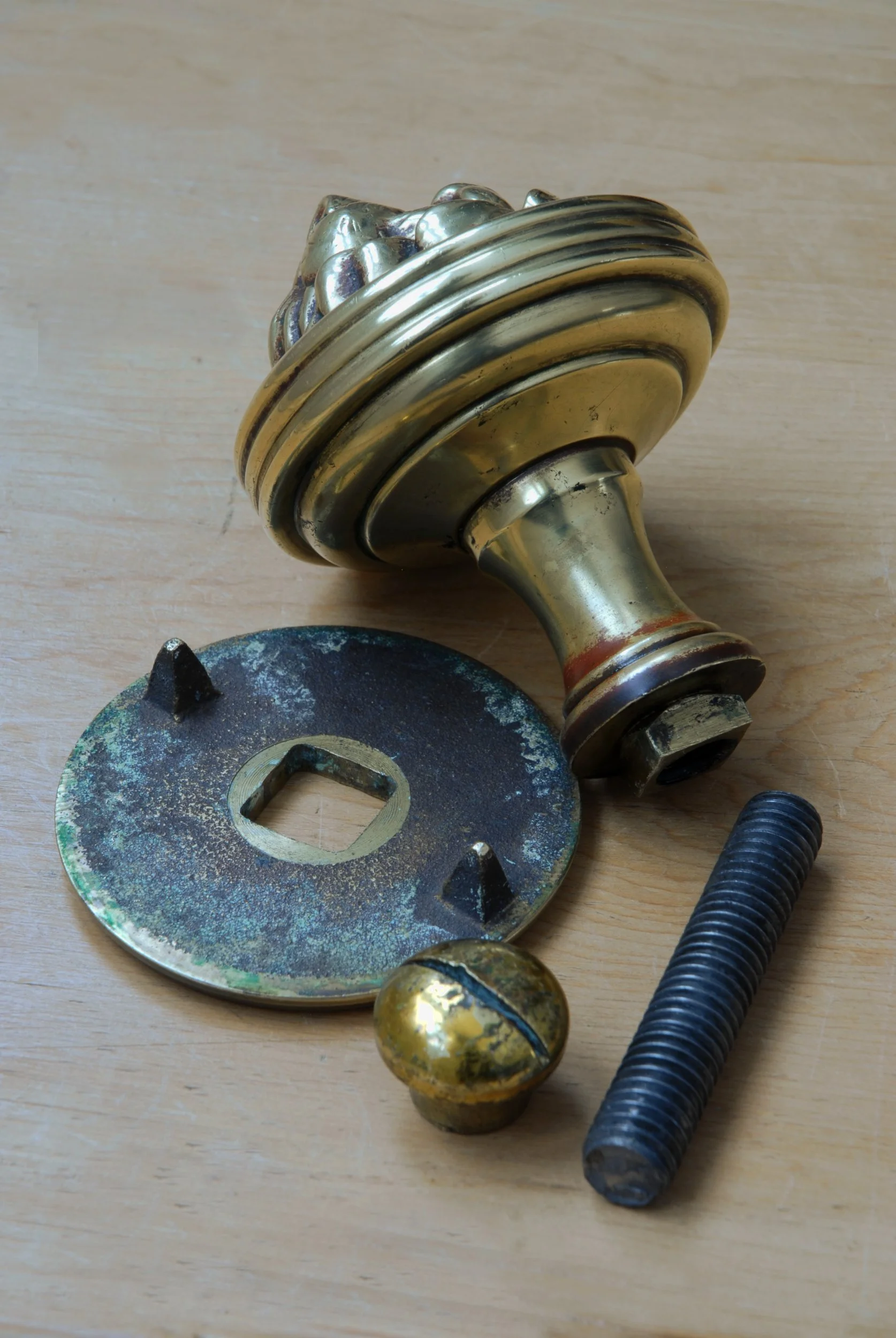 SIZED 1161 Brass Lion Front Door Pull Handle.JPG
