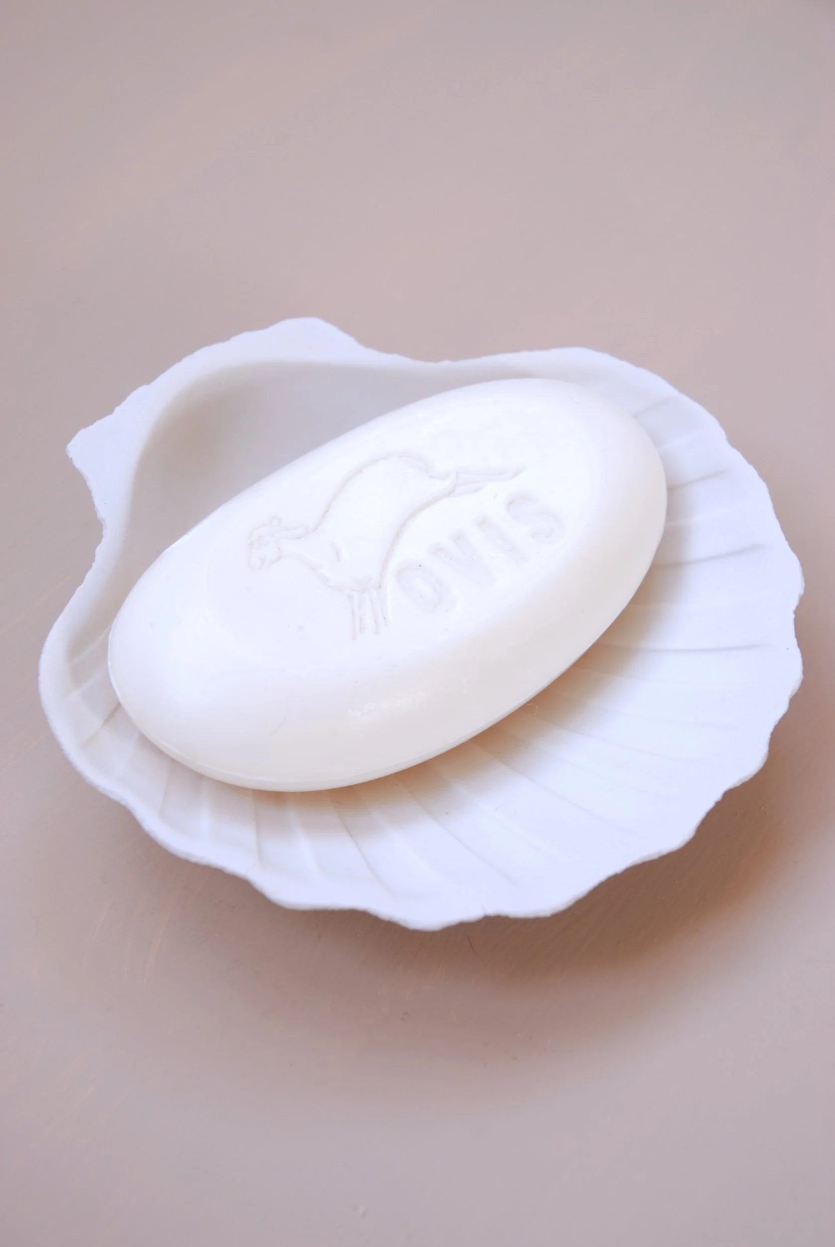 SIZED 1373 Ceramic Shell Dish.JPG