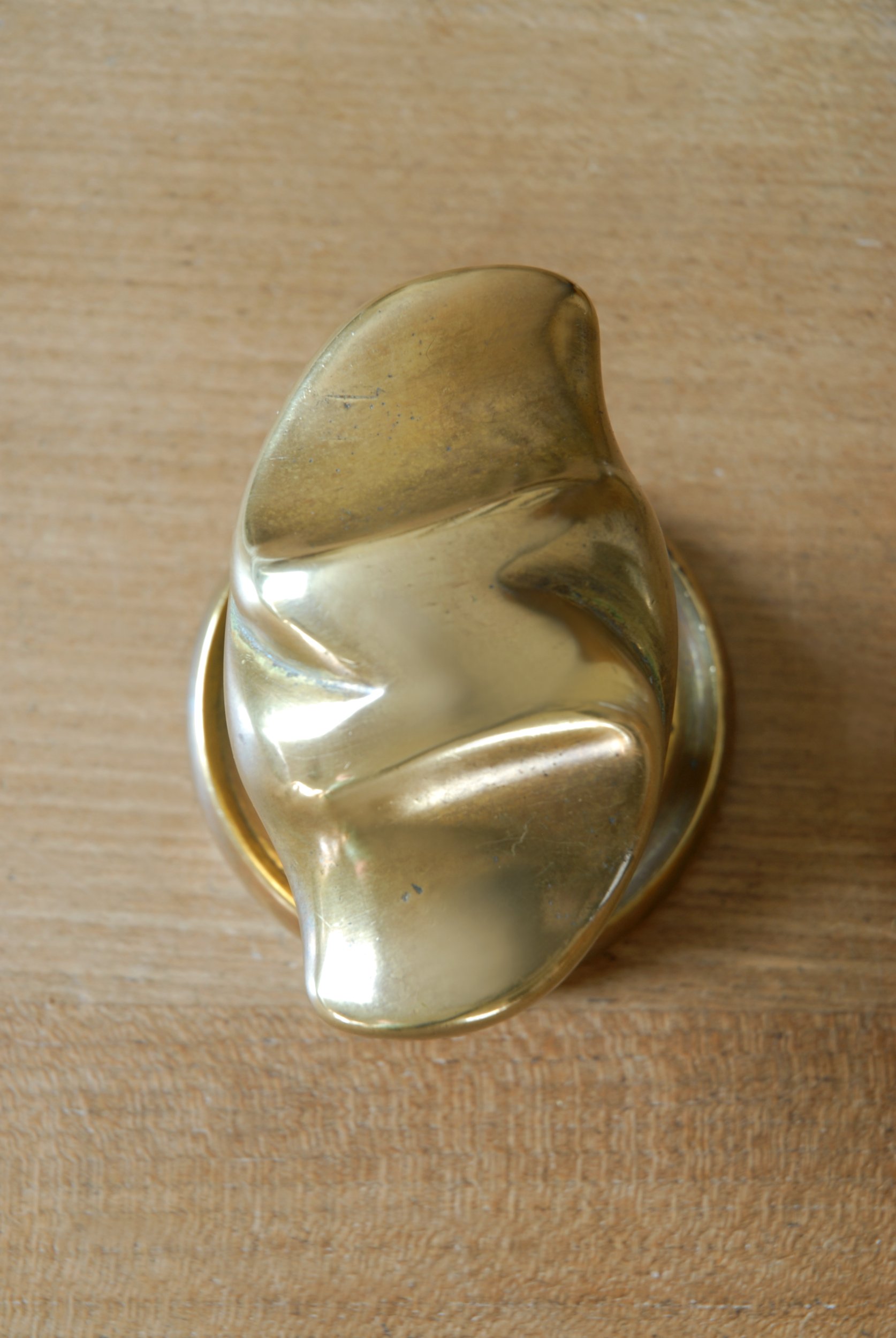 SIZED 1602 Brass Pull Handle.JPG
