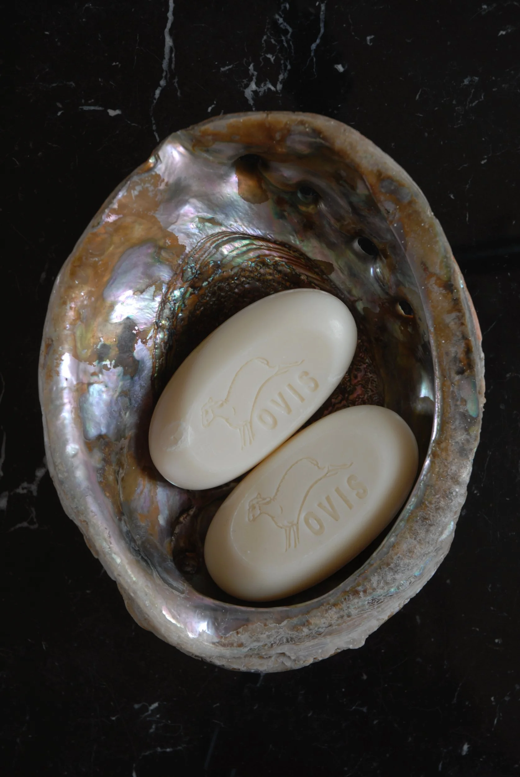 Vintage Albalone Shell Soap Dish