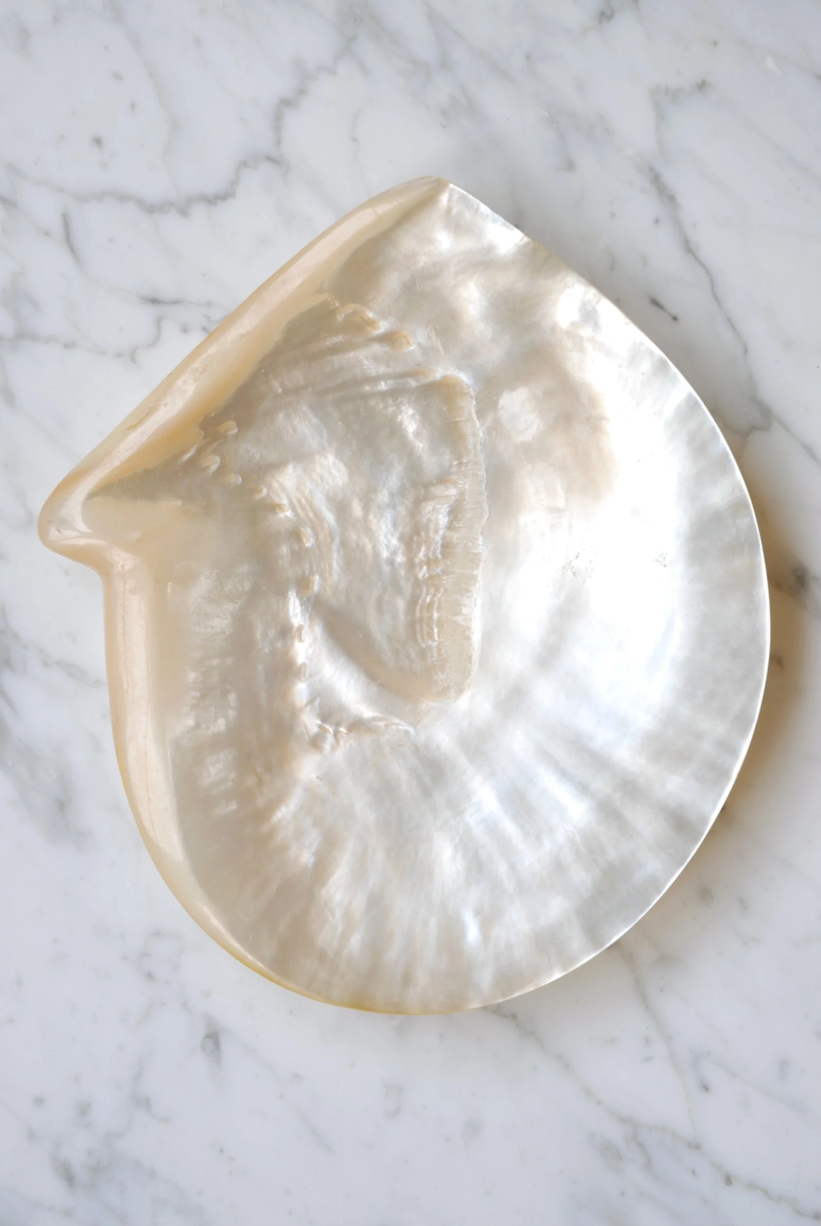 SIZED 1387 Vintage Dish.JPG