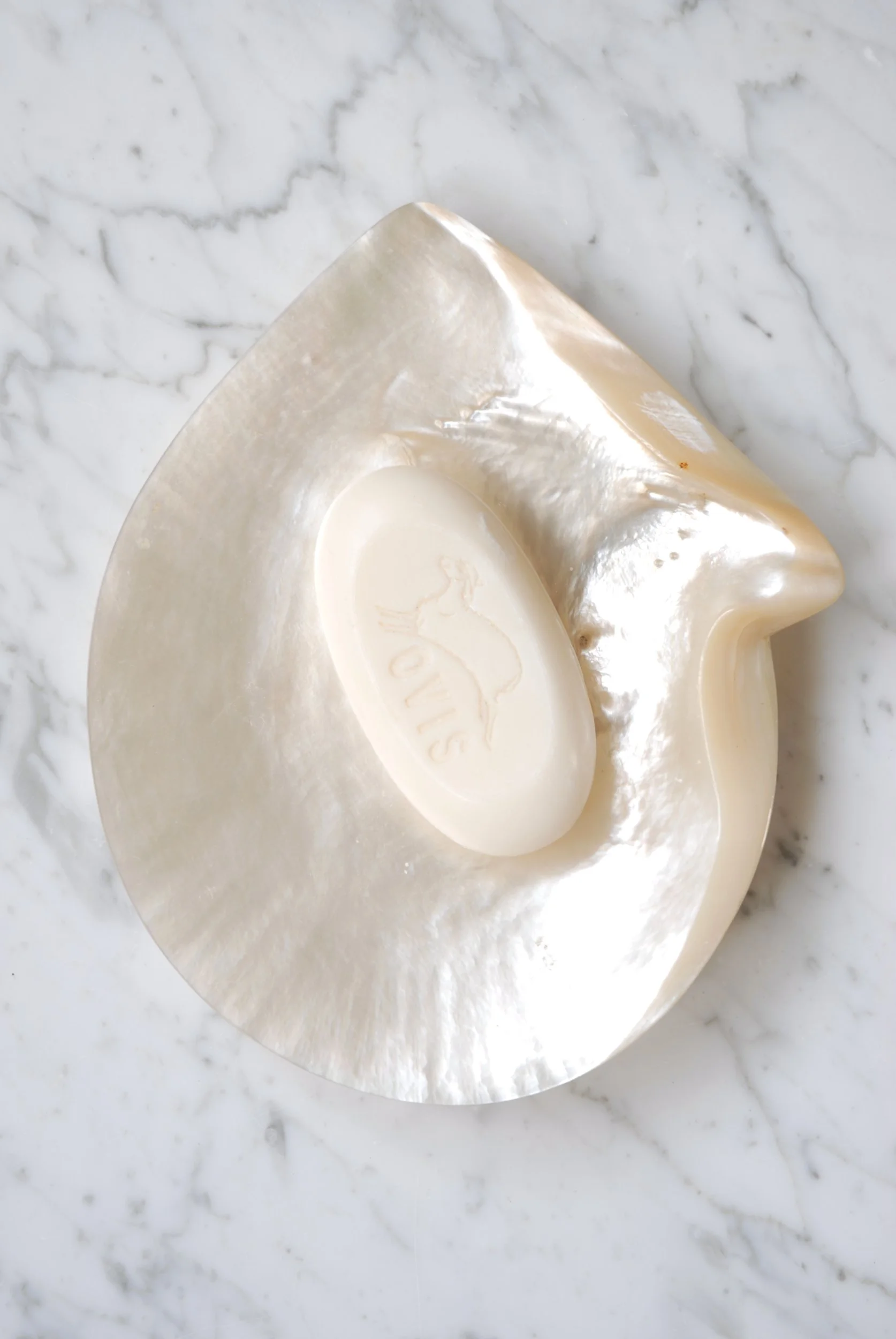 SIZED 1387 Vintage Shell Dish.JPG
