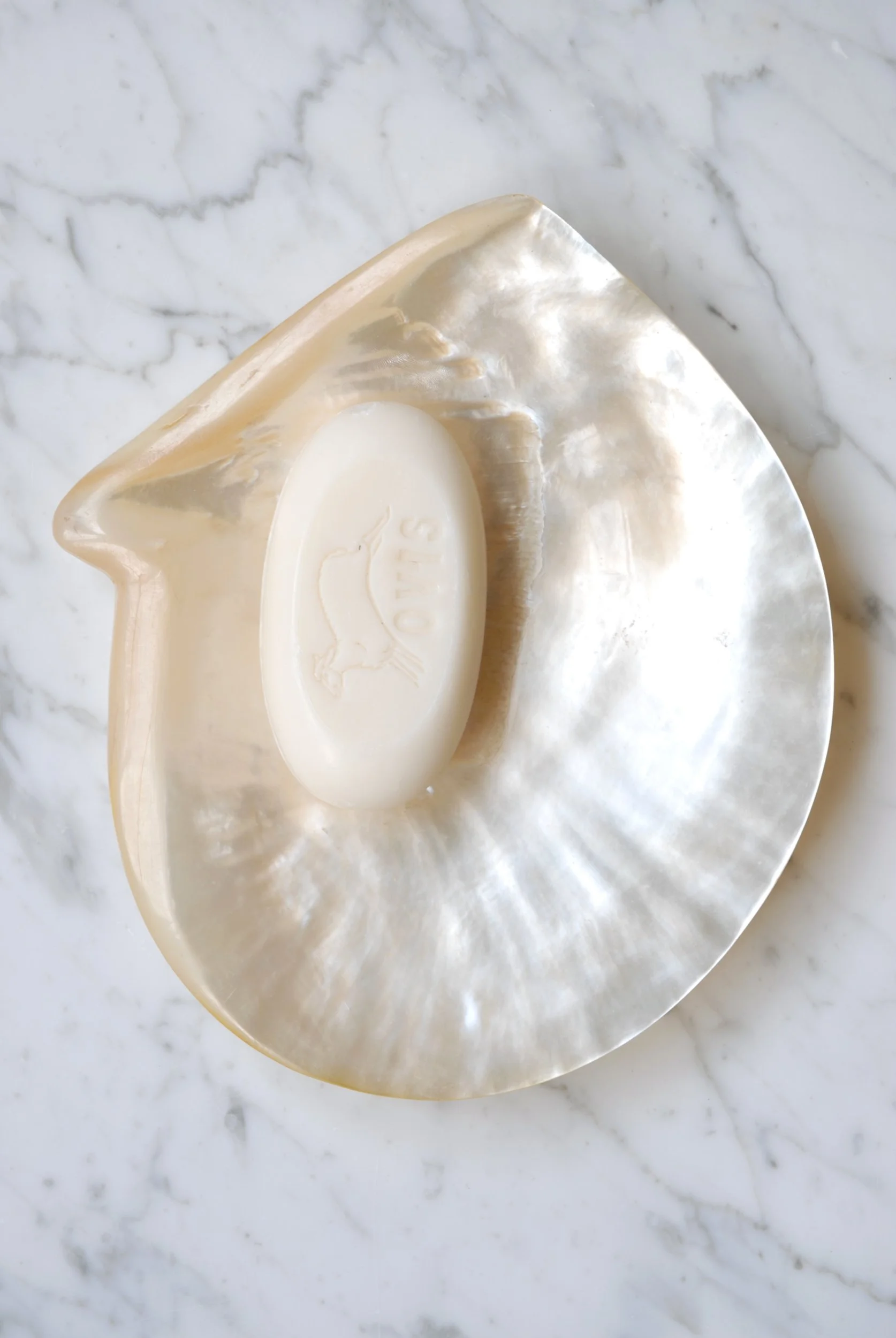 Shell Soap Dish