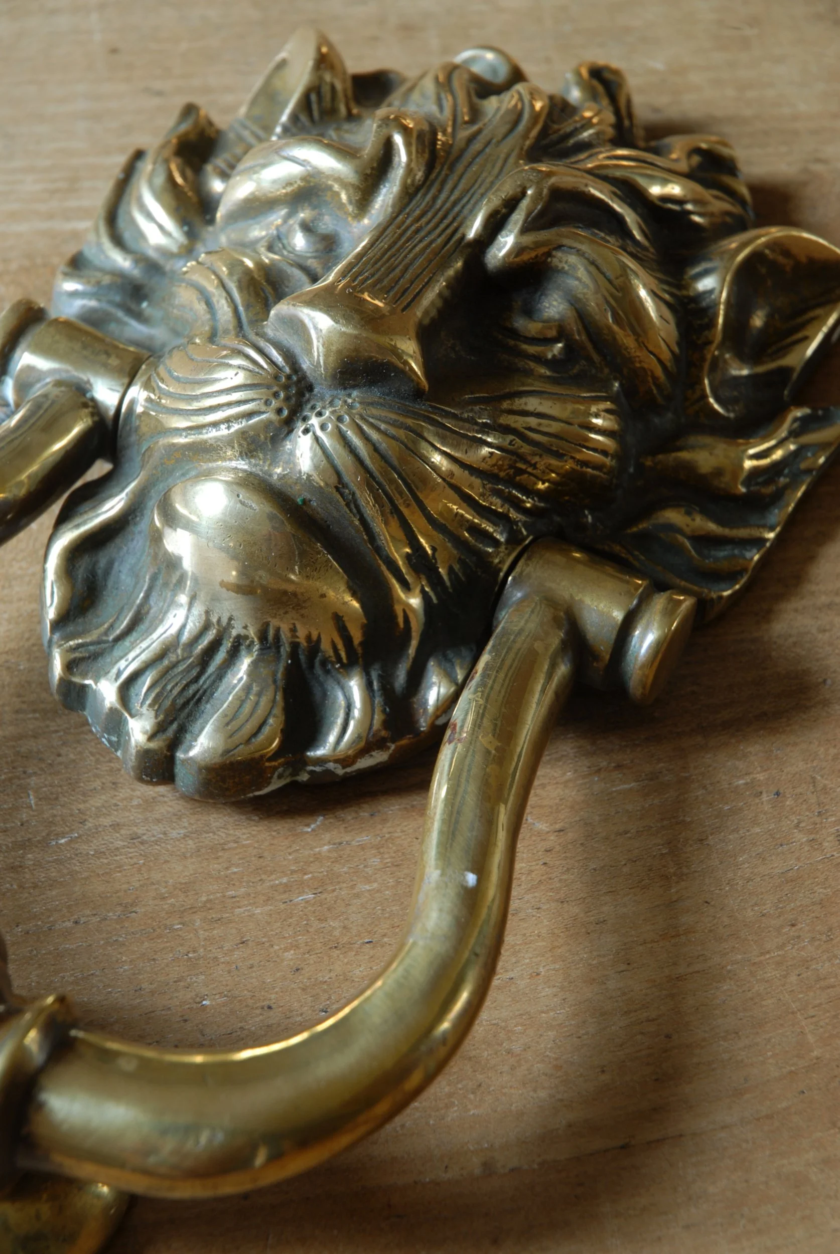 SIZED 1591 Lion Door Knocker.JPG