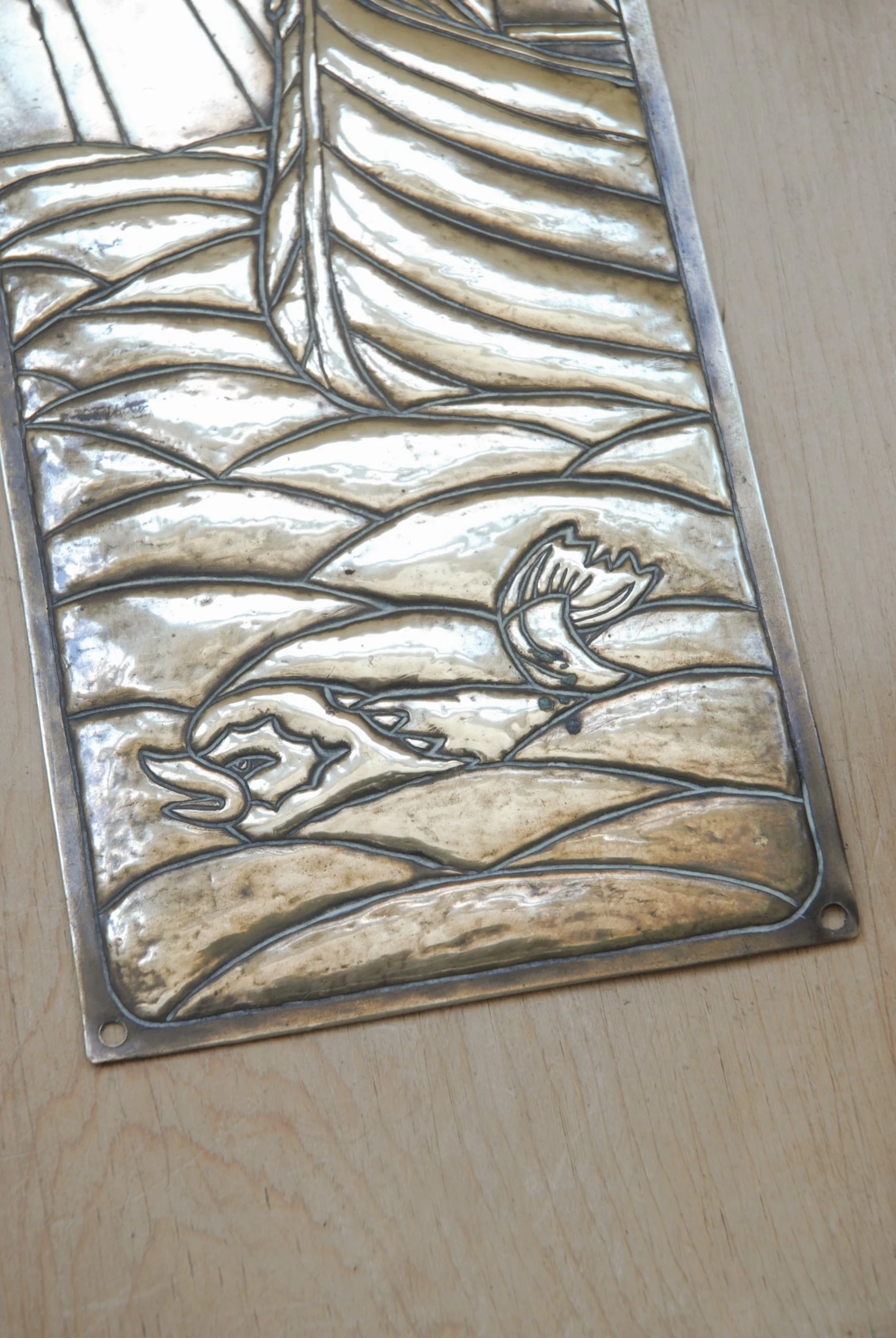 SIZED 1548 Brass Finger Plate Antique.JPG