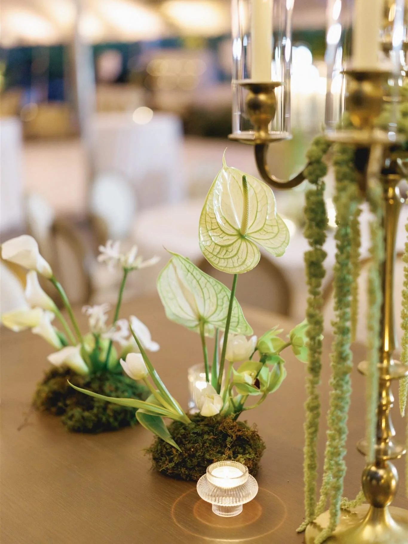 DETAILS from Riley + Harbour&rsquo;s Wedding 12.6.25 🤍