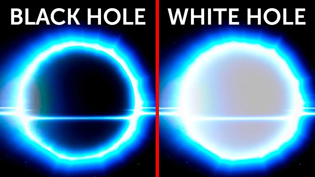 316177172_499195175561475_5186394148530909577_n.jpg