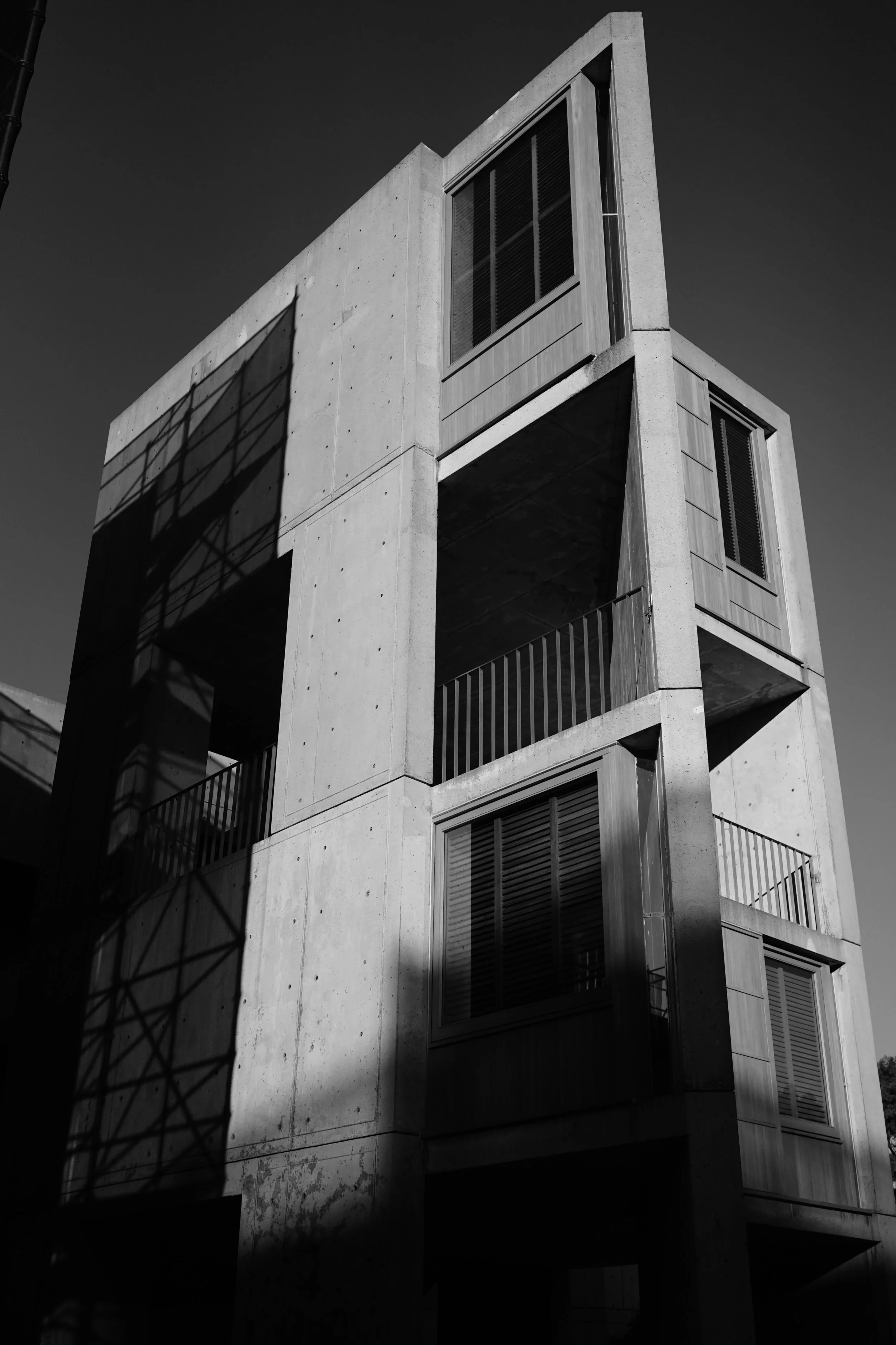 DSC05812.jpg