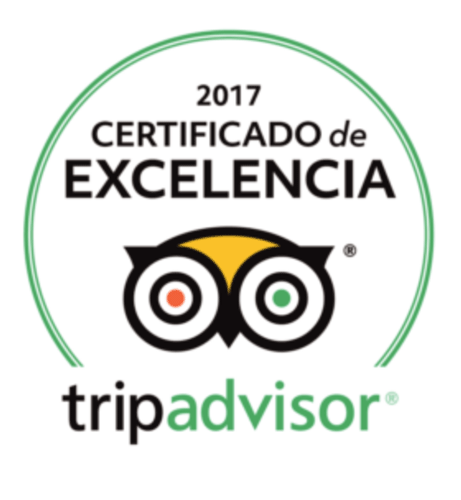 Copy of TripAdvisor