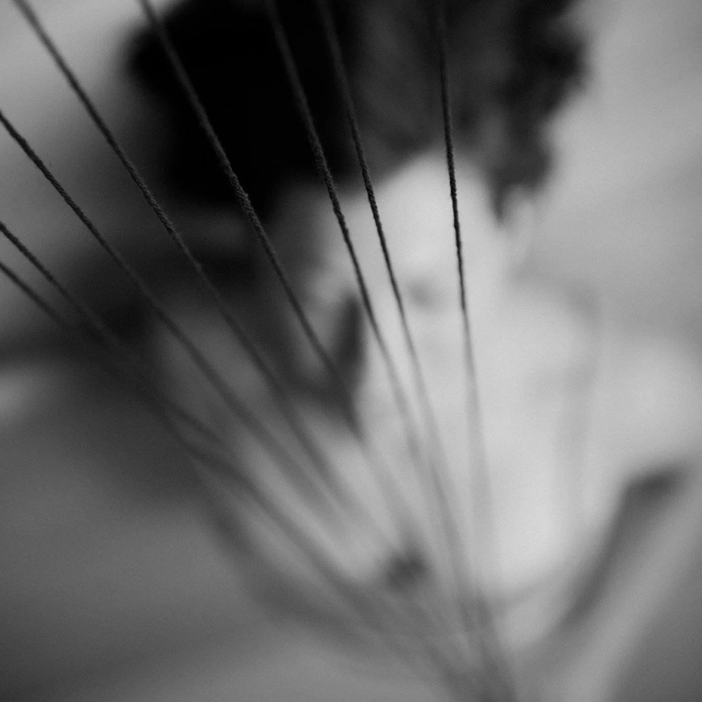 ruth threads micheala.jpg