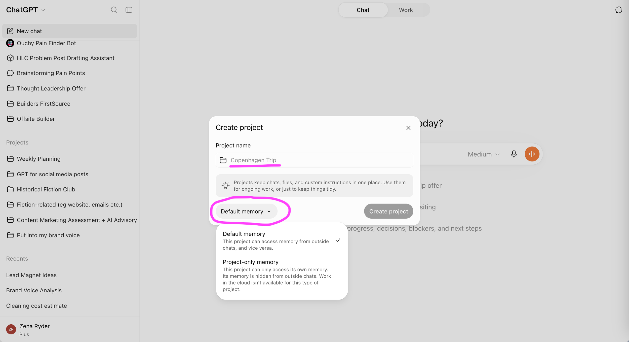 ChatGPT screenshot, showing memory options.
