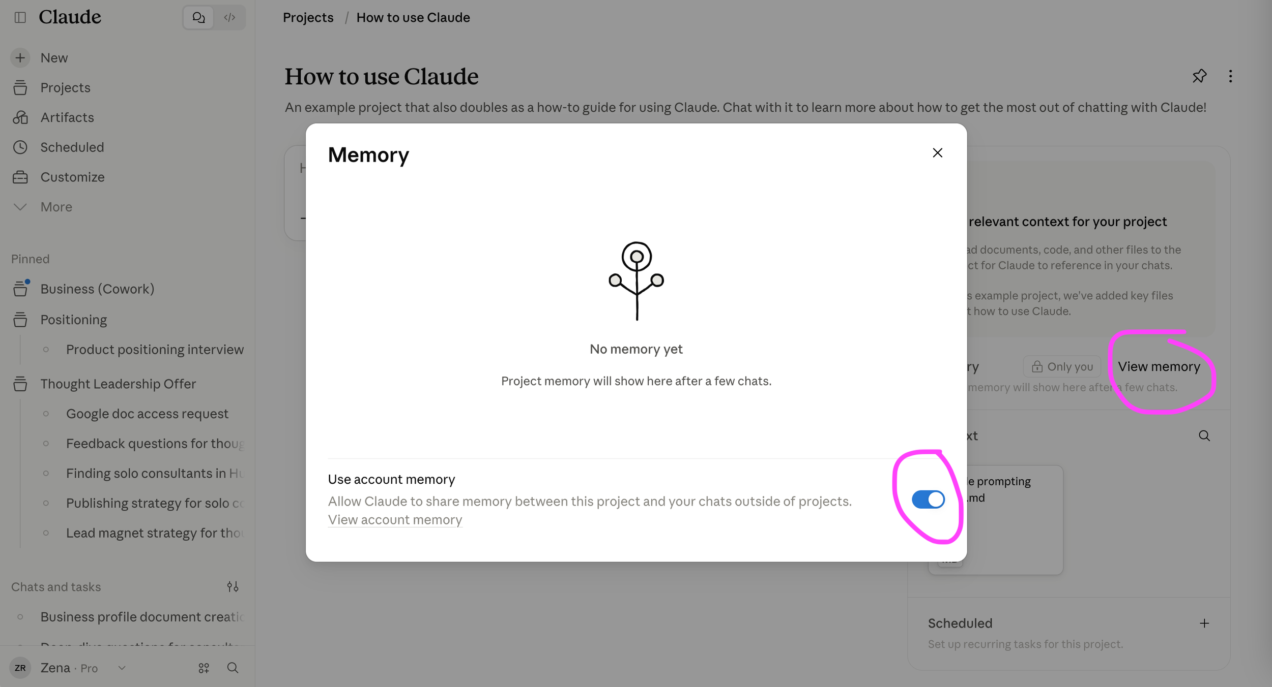 Claude screenshot, showing how to choose the type of memory for a Project.
