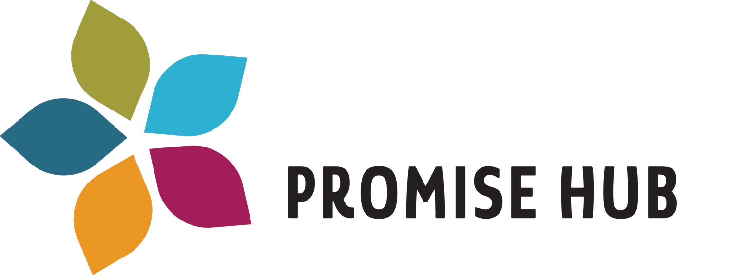 Promise Hub