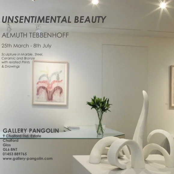 Unsentimental Beauty - Almuth Tebbenhoff