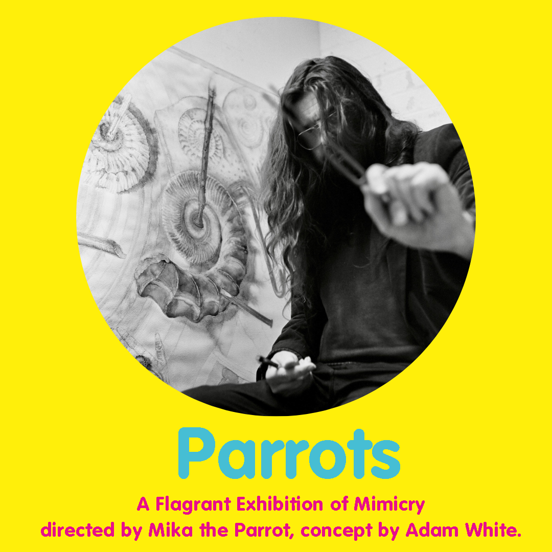 Parrots: A Flagrant Exhibition of Mimicry
