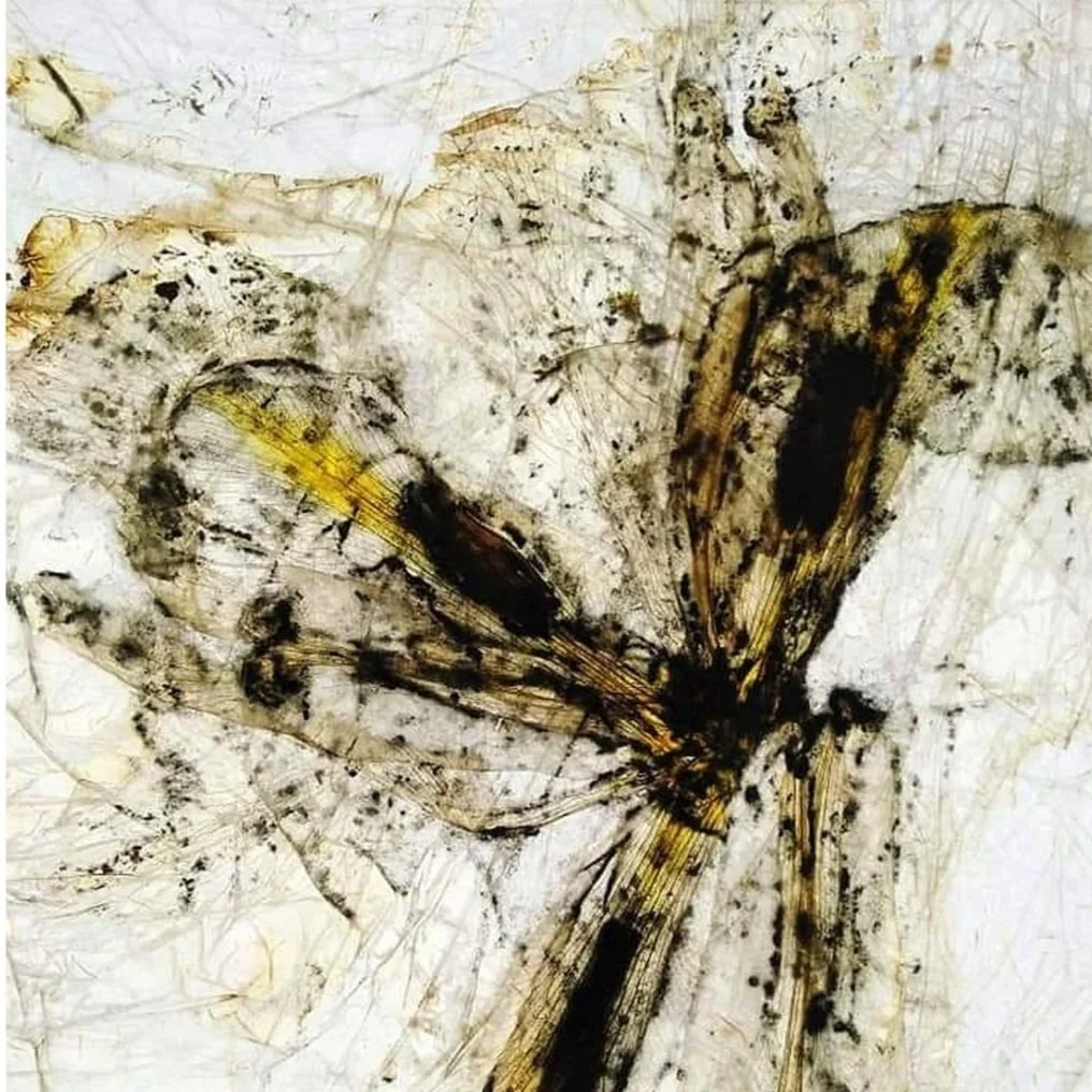 An Act of Remembrance