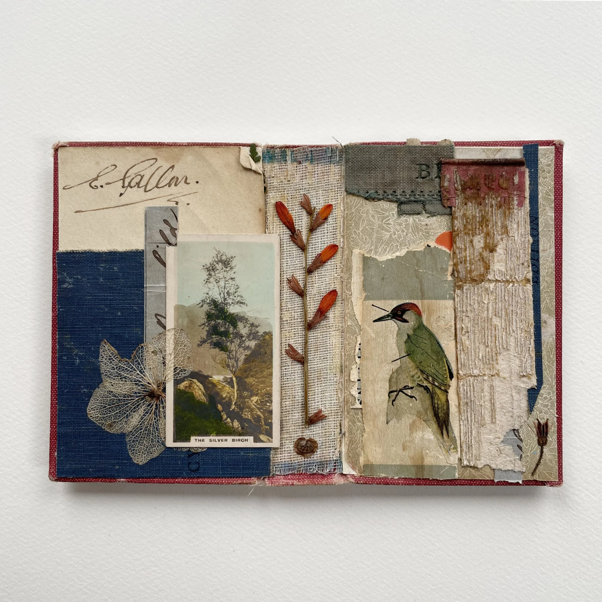 Zoe Heath : SVA
