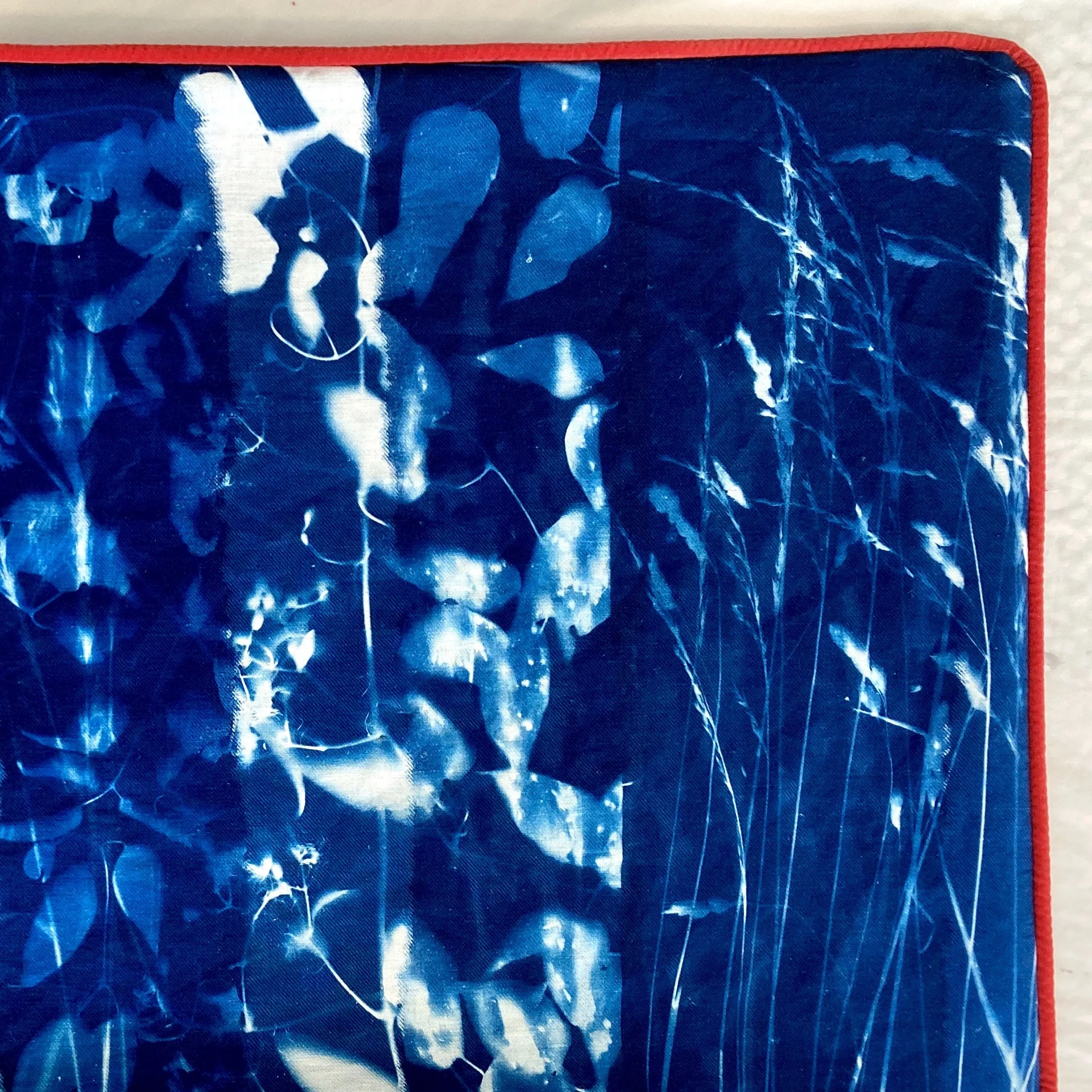 Kathryn Clarke : SVA
