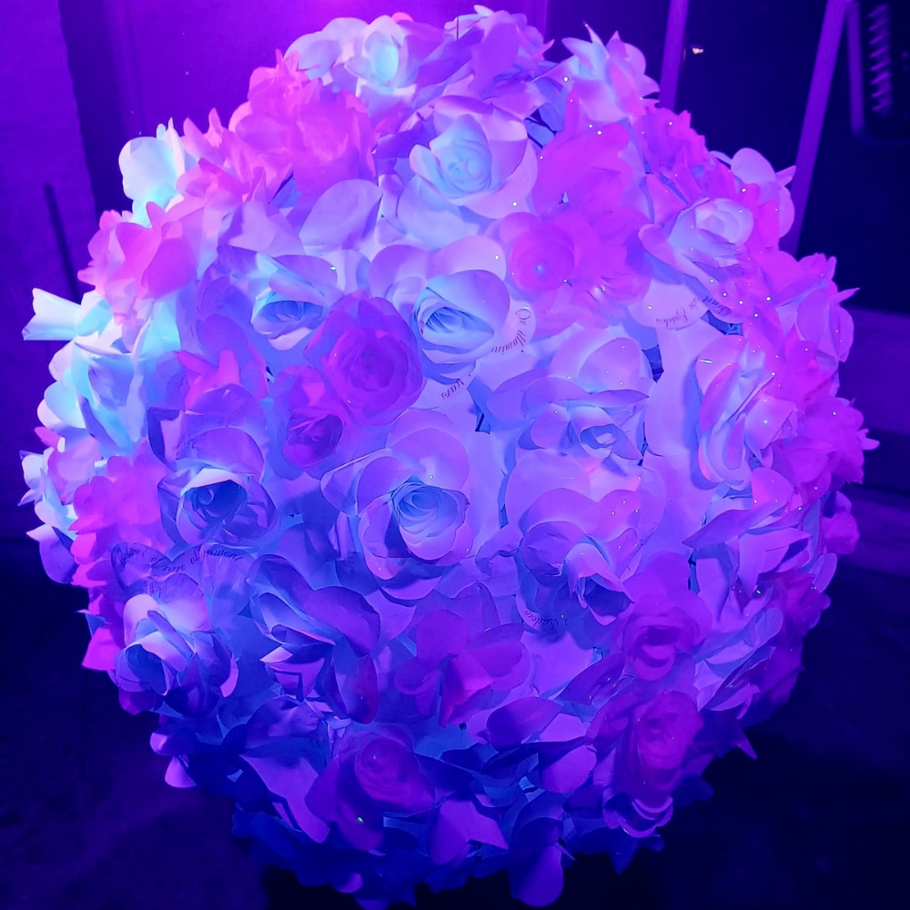 Corinne Hockley : SVA
