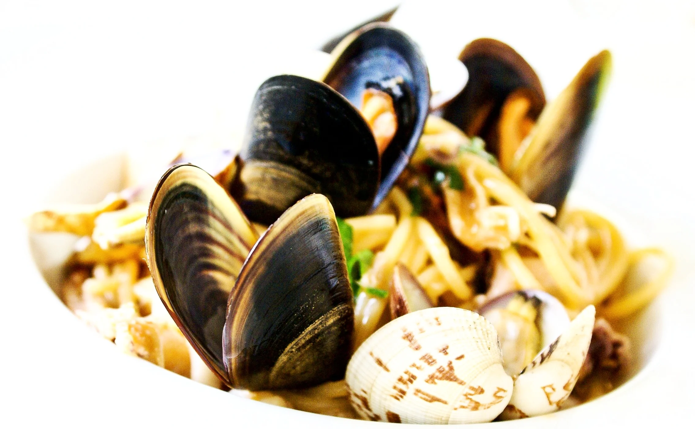 bivalve-clam-cooking-921374.jpg