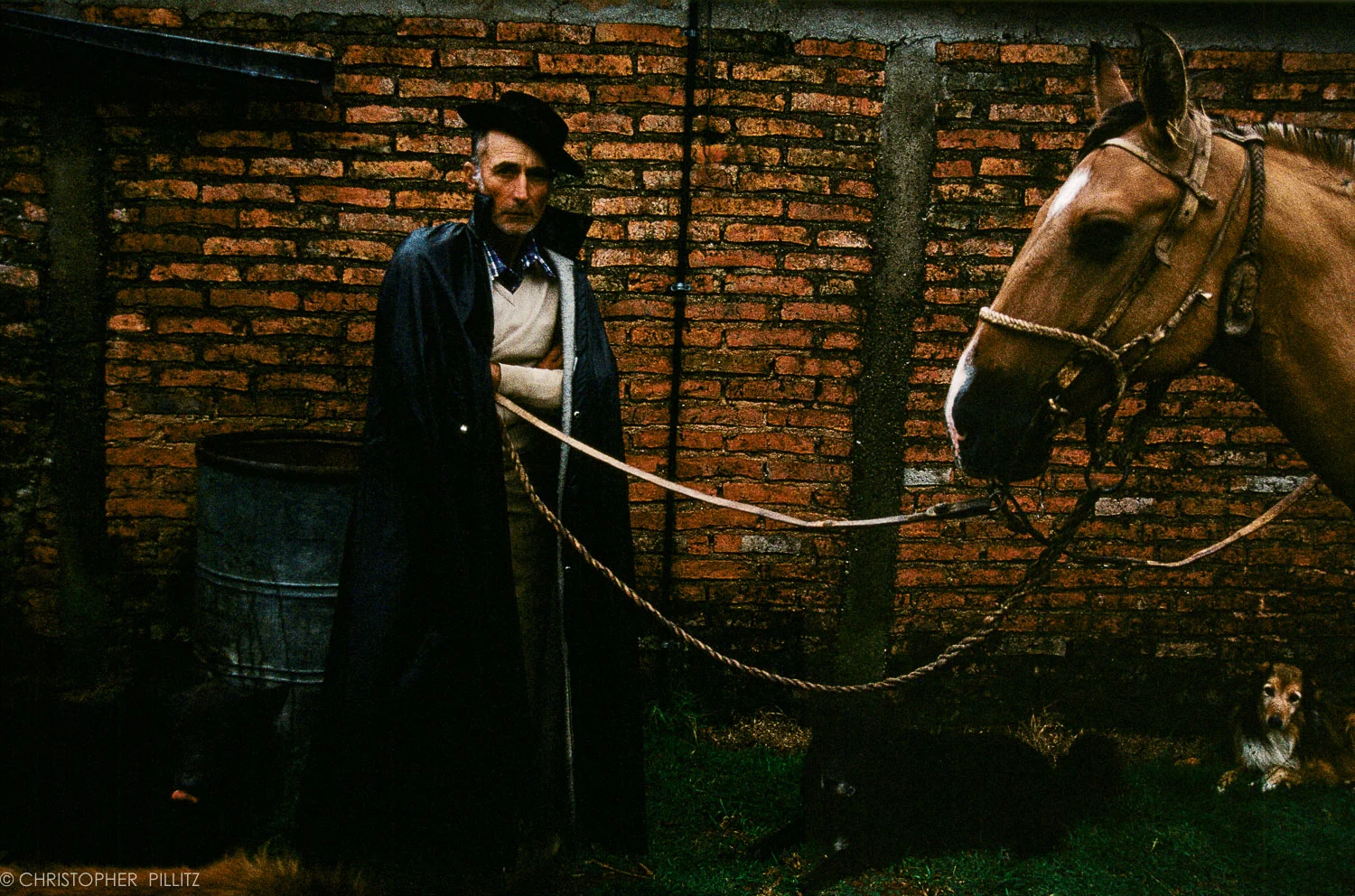 Christopher Pillitz