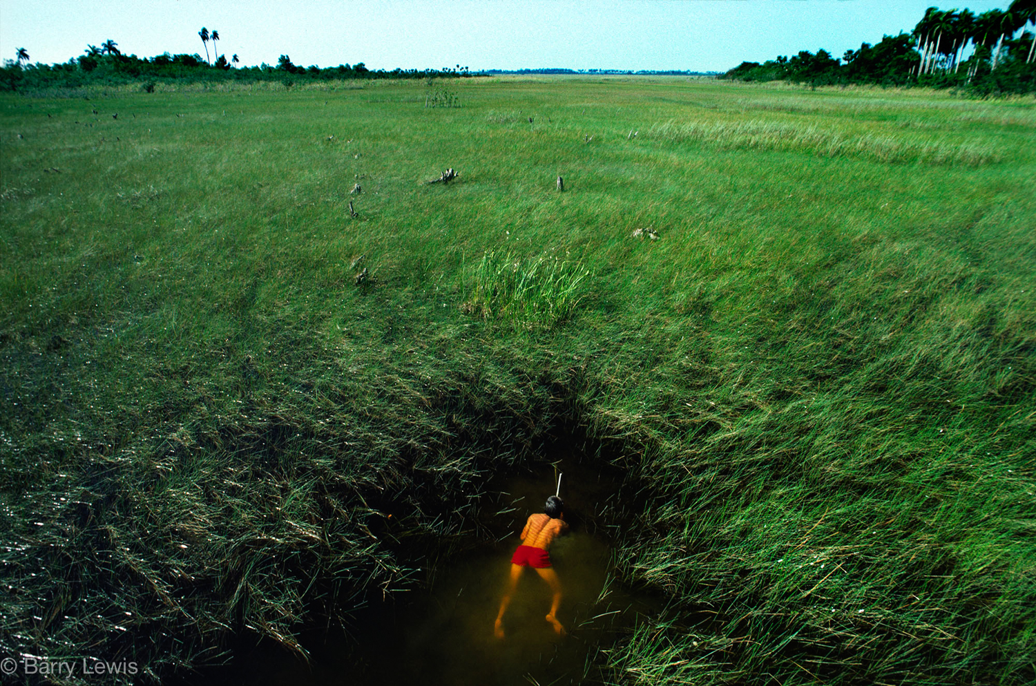  Trout fishing in the swampland of  Northern Cuba 1979 