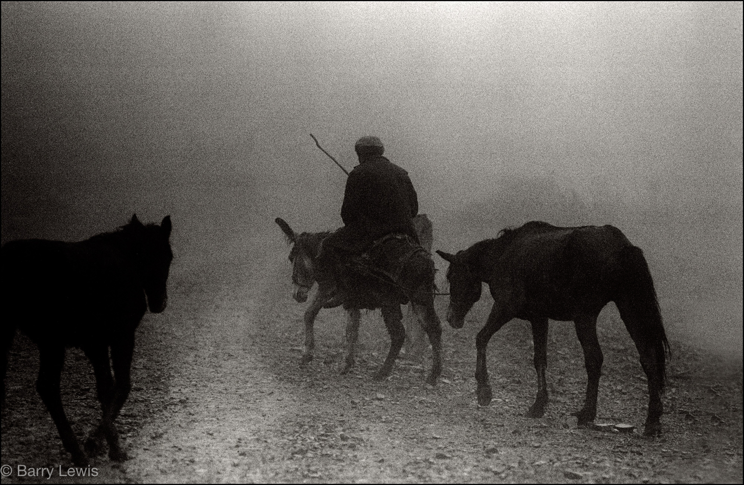  Farmer riding into the winter mist along the ancient Camín Real de la Mesa, Spain 1985.
For centuries the Camín was one of the few points of contact between the provinces of León and Asturias. The route has been used for 5,000 years, traversing a mo