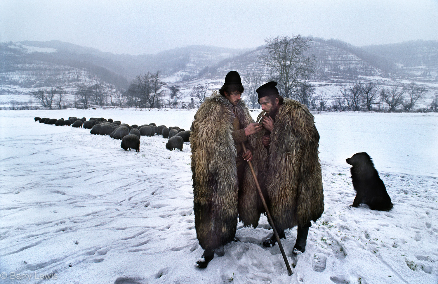  Shepherds sharing a cigarette near the carbosin plant in Copsa Mica, Romania, 1990. The sheep white coats are covered in soot. Years of neglect under the Ceaușescu regime created the most poluted region in the world. 