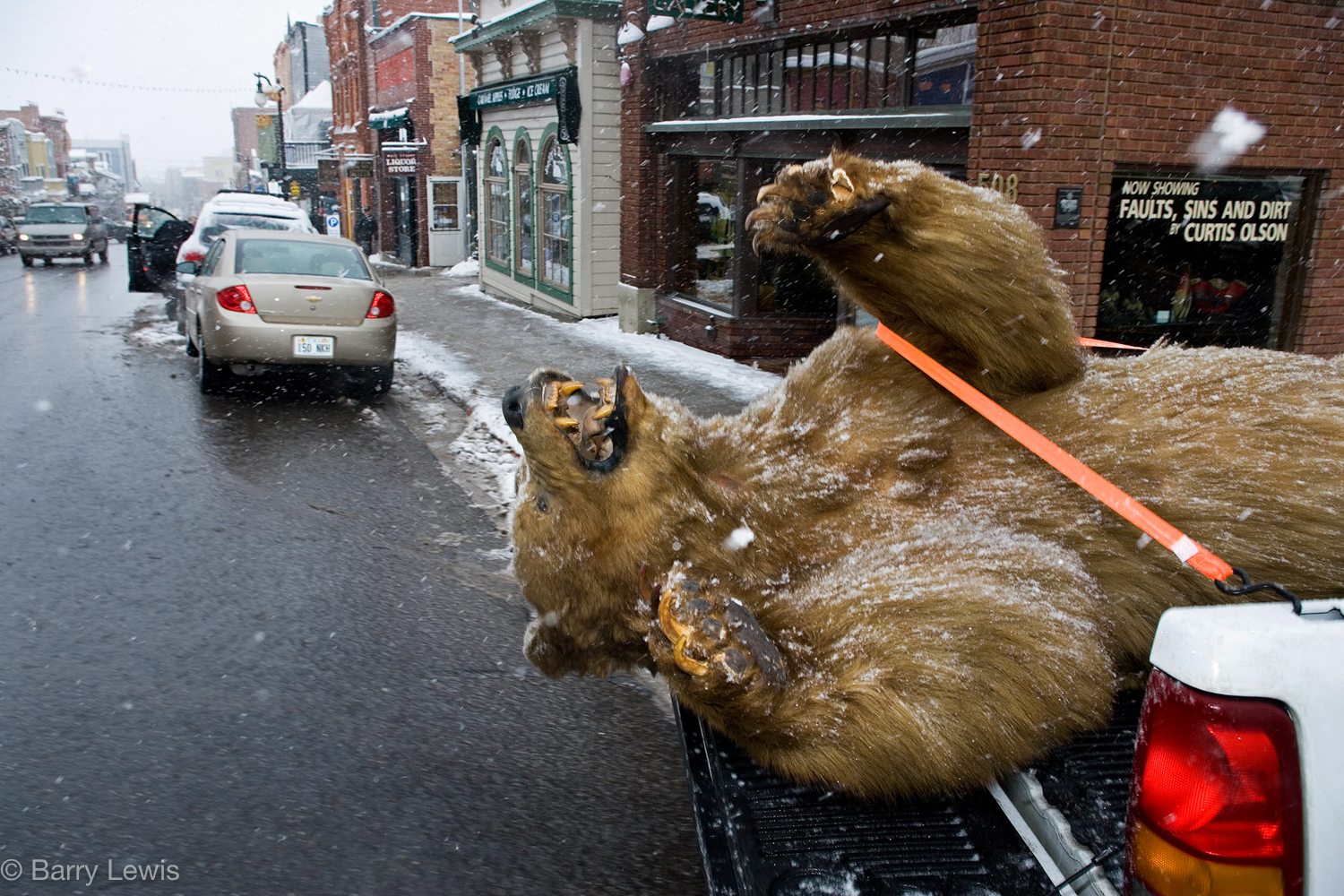  Stuffed grizzly, Sundance Film Festival, USA 2006 