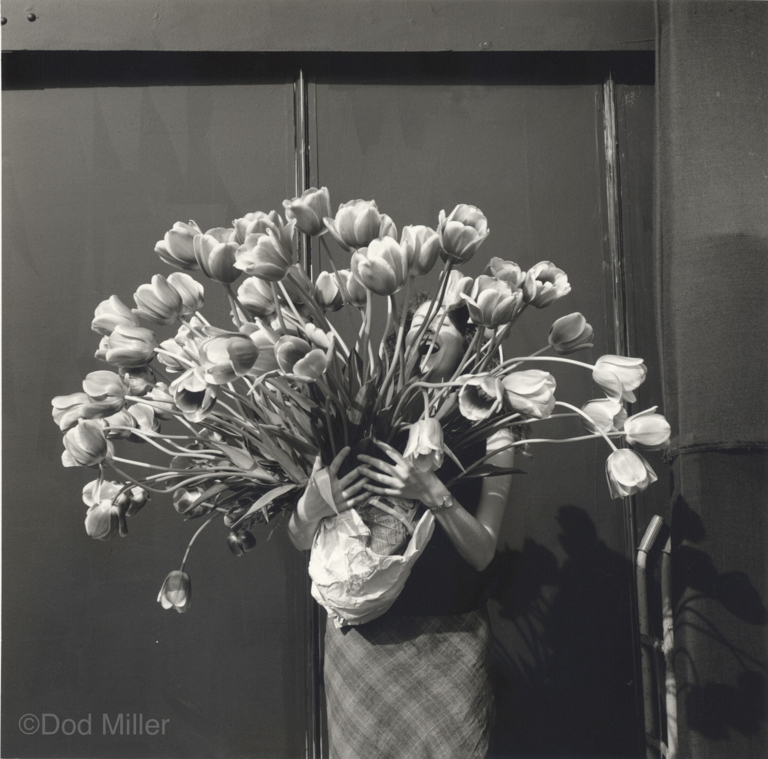 Dod Miller