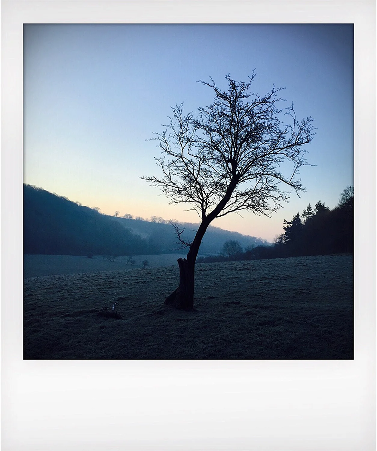 Polaroids from the North York Moors, UK.
