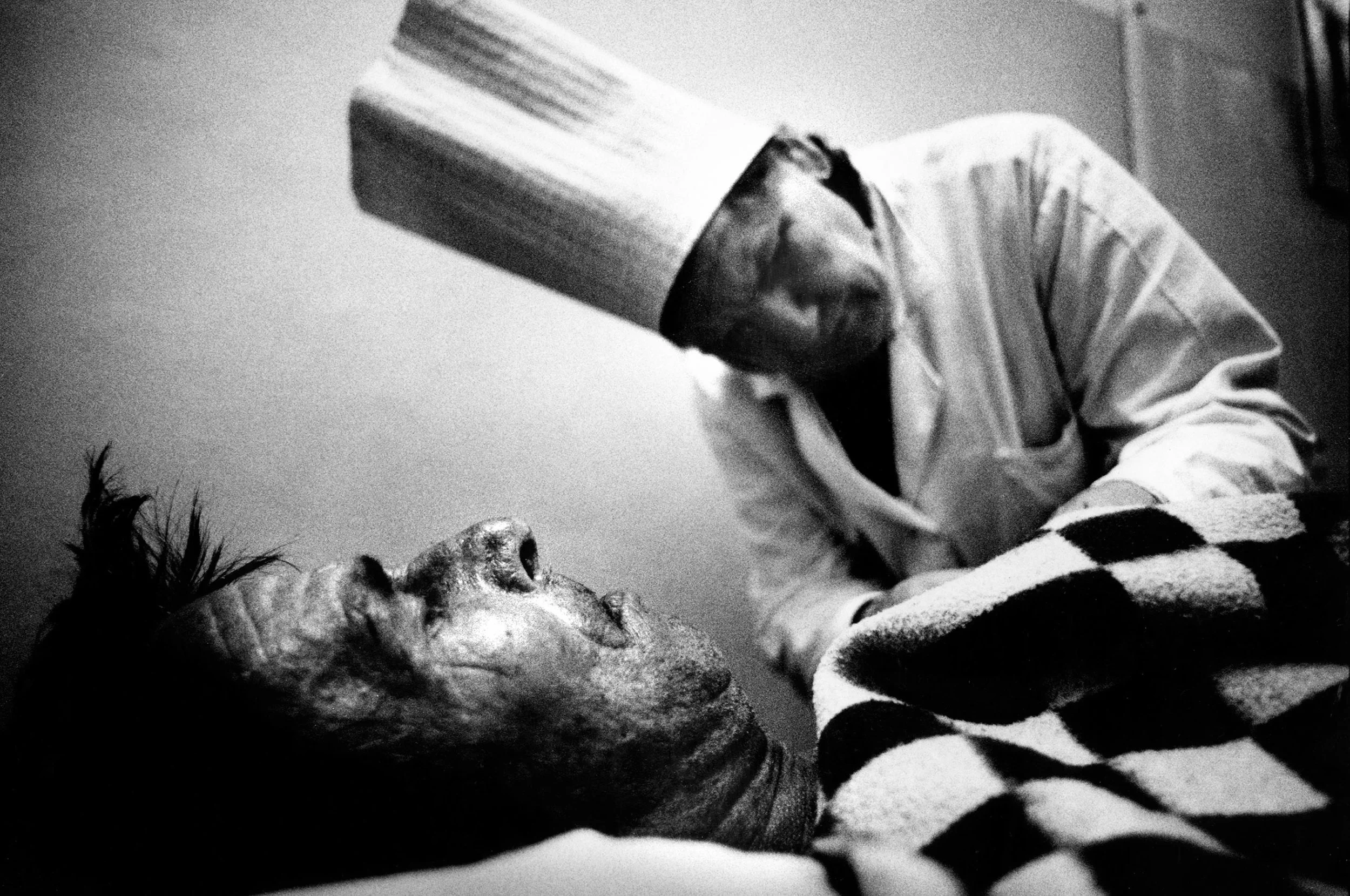 tuberculosis-2.jpg