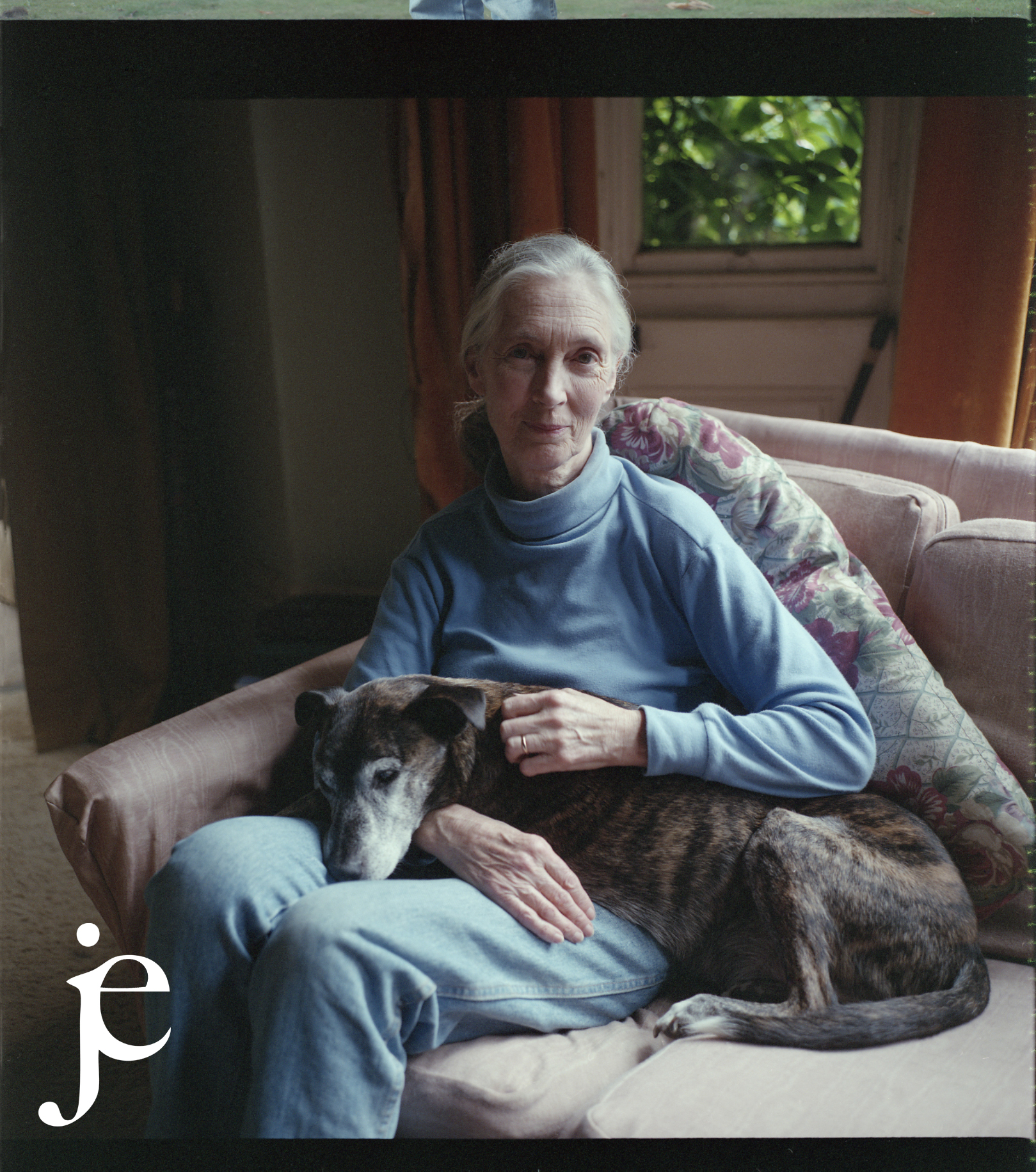 Jane Goodall, England, 1999