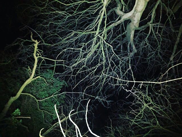 I managed to get out this weekend and make some nocturnal #ambisonic recordings of the tail end of Dennis. Listening to the creaking and rather violent susurrations of different trees with the #sennheiser #ambeo with the #zoomf6 .
.
.
.
.
.
.
#ambiso