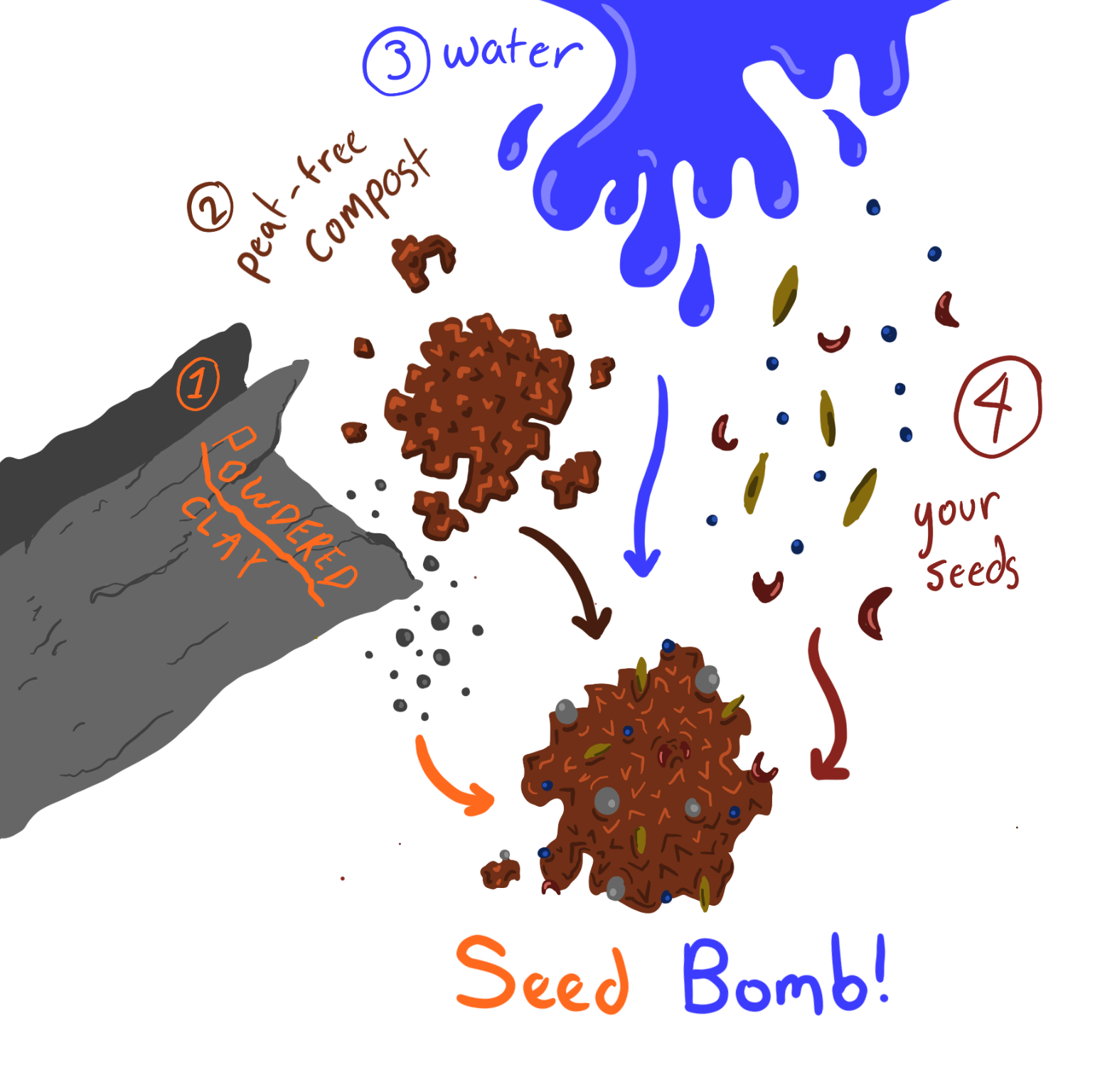 Seed bomb diagram fixed.png