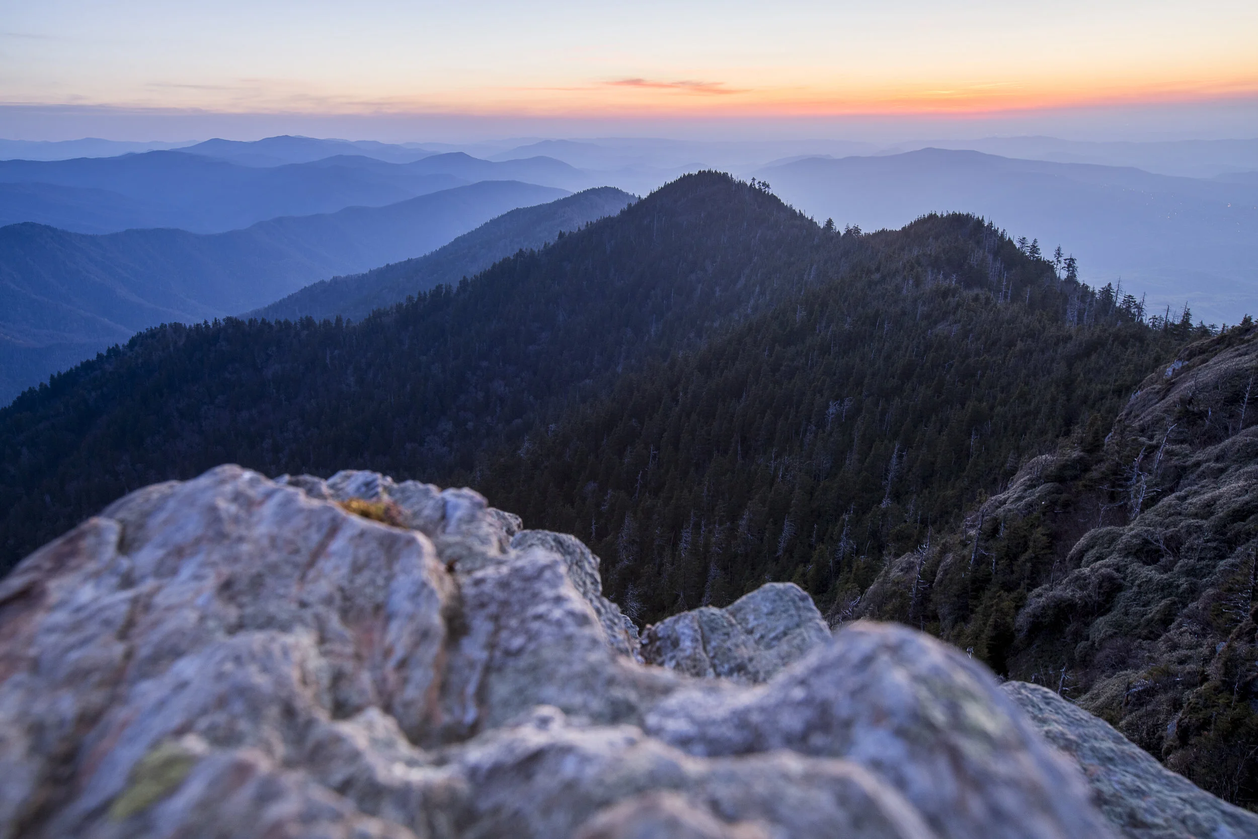 Mt LeConte Cliff Tops.jpg