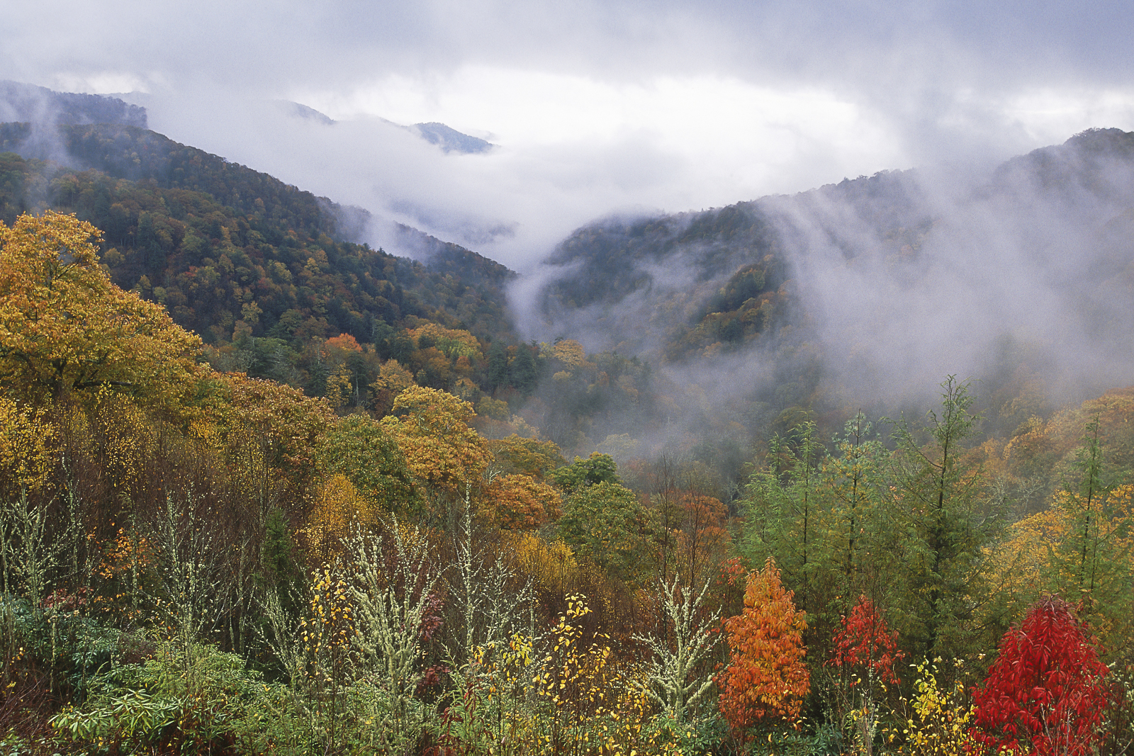 GSMNP-1.jpg